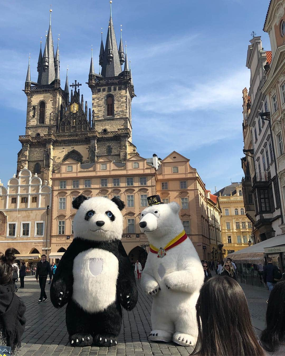 コンスタンス・ジマーさんのインスタグラム写真 - (コンスタンス・ジマーInstagram)「Panda Bears, Polar Bears and Prague...OH MY! 2nd photo is my pitch for a talk show “Between Two Bears” where these giant blow up bears with people inside them are surrounding us with no explanation...but if someone knows why these giant Bears are a thing here, please tell me...」3月23日 1時38分 - constancezimmer