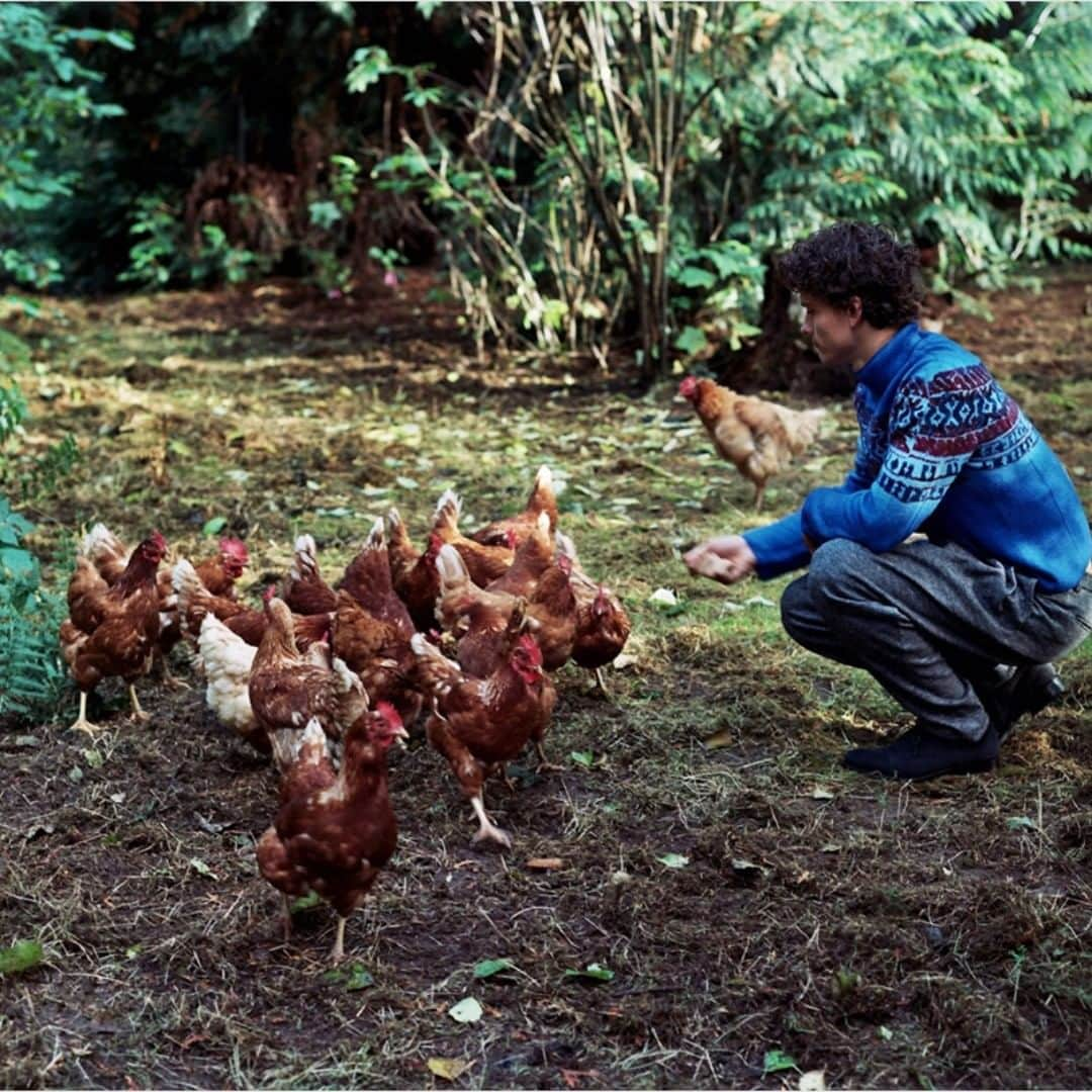 サイモン・ネスマンのインスタグラム：「Are you interested in learning to grow and harvest food in a sustainable way? Join instructor Michael Nickels, May 20-24, for an introduction to permaculture design workshop at the beautiful @cedar.coast field station on Vargas Island, B.C. This 5 day workshop is an all-inclusive and immersive learning experience in the heart of Clayoquot Sound, a Unesco Biosphere Reserve. Tag a friend who might be interested. See the link in my bio for more info. Photo: @gillygoatz for @oddamagazine. Outfit: @armani. #environmentaleducation #foodsecurity #Cedar Coast」