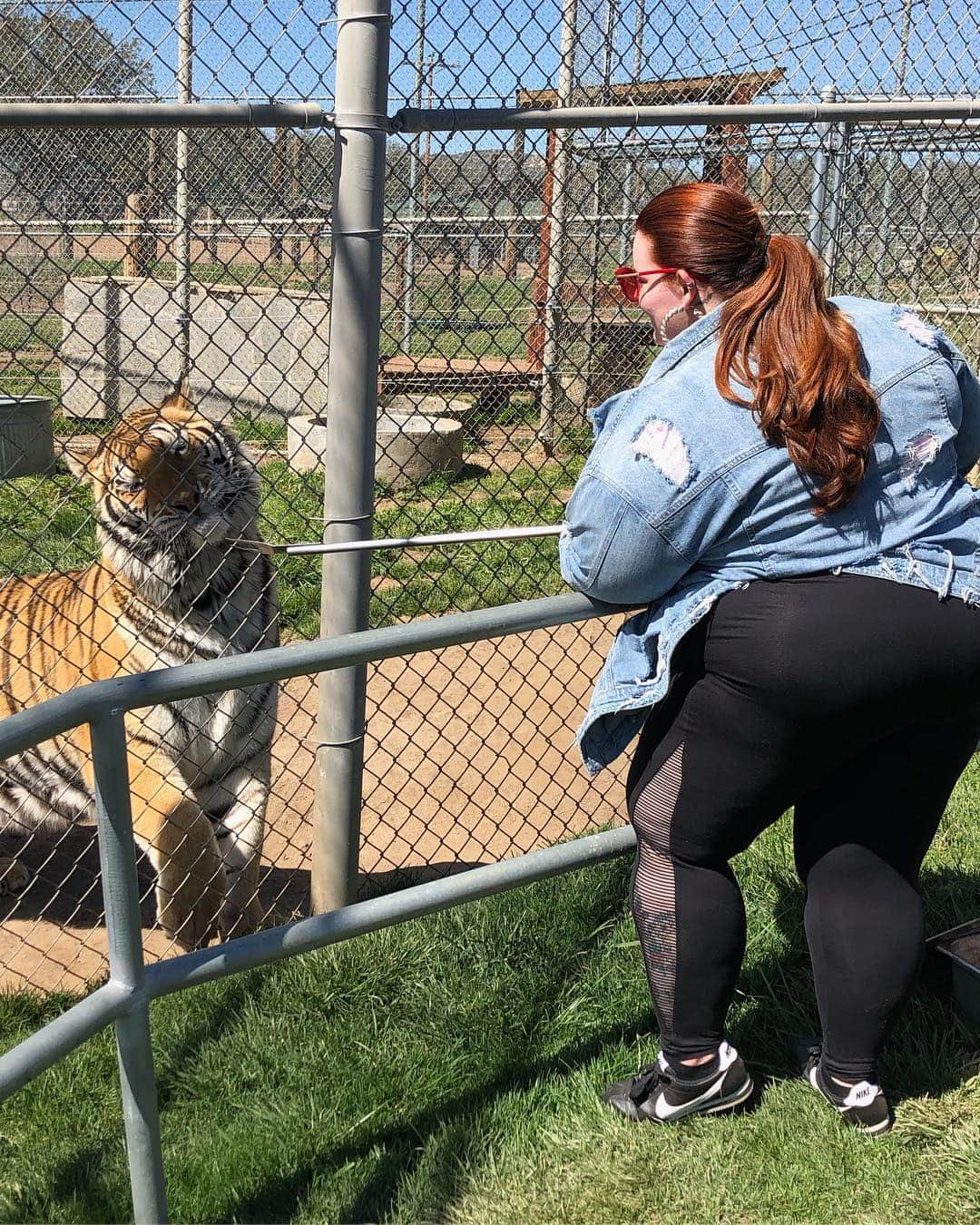 テス・ホリデーさんのインスタグラム写真 - (テス・ホリデーInstagram)「A few days ago I took my family @nickhollidayco & @nadiaaboulhosn to visit @lionstigers_andbears . It was amazing to see and feed these animals up close, and learning all about the exotic animal trade was truly eye opening so I want to share what I’ve learned with y’all: 🦁🐯🐻 Please don’t ever pay to hold, pet, pose or play with baby bear, lion, tiger, leopard or other big cat cubs.  It’s always bad for the animals. (I’ve done this before and will never do it again) 🦁🐯🐻 We also need to raise awareness for the root of the problem- the thousands of captive wild animals who are bred into abuse in the exotic animal trade in the United States. The cubs are ripped from their mothers, malnourished, over-handled, mistreated, and then they disappear to live their lives in tiny backyard cages, or be slaughtered in “canned hunts” and sold for body parts.  The lucky ones make it to an accredited sanctuary like Lions Tigers & Bears. 🦁🐯🐻 No one wants to fund animal abuse - and unfortunately, if you are holding a baby bear, lion, tiger or other apex predator, you are supporting an industry that hurts animals.  There are no legitimate accredited sanctuaries or zoos (Global Federation of Animal Sanctuaries, American Sanctuary Association, or Association of Zoos and Aquariums) that allow hands-on encounters with baby tigers, lions or bears, because these activities endanger people and expose captive wild animals to abuse. 🦁🐯🐻 Not only do they have a beautiful sanctuary, the owner & founder Bobbi Brink is a total badass. She travels around the country in her semi truck, rescuing animals & speaking to law makers to get legislation changed to protect these wild animals. You know I love a strong woman! If you are in Southern California, please visit @lionstigers_andbears -  Every dollar helps keep them alive, but if you can’t make it in person and there is a link in my bio to donate to them so they can continue helping these animals and more! 💕」3月23日 1時58分 - tessholliday