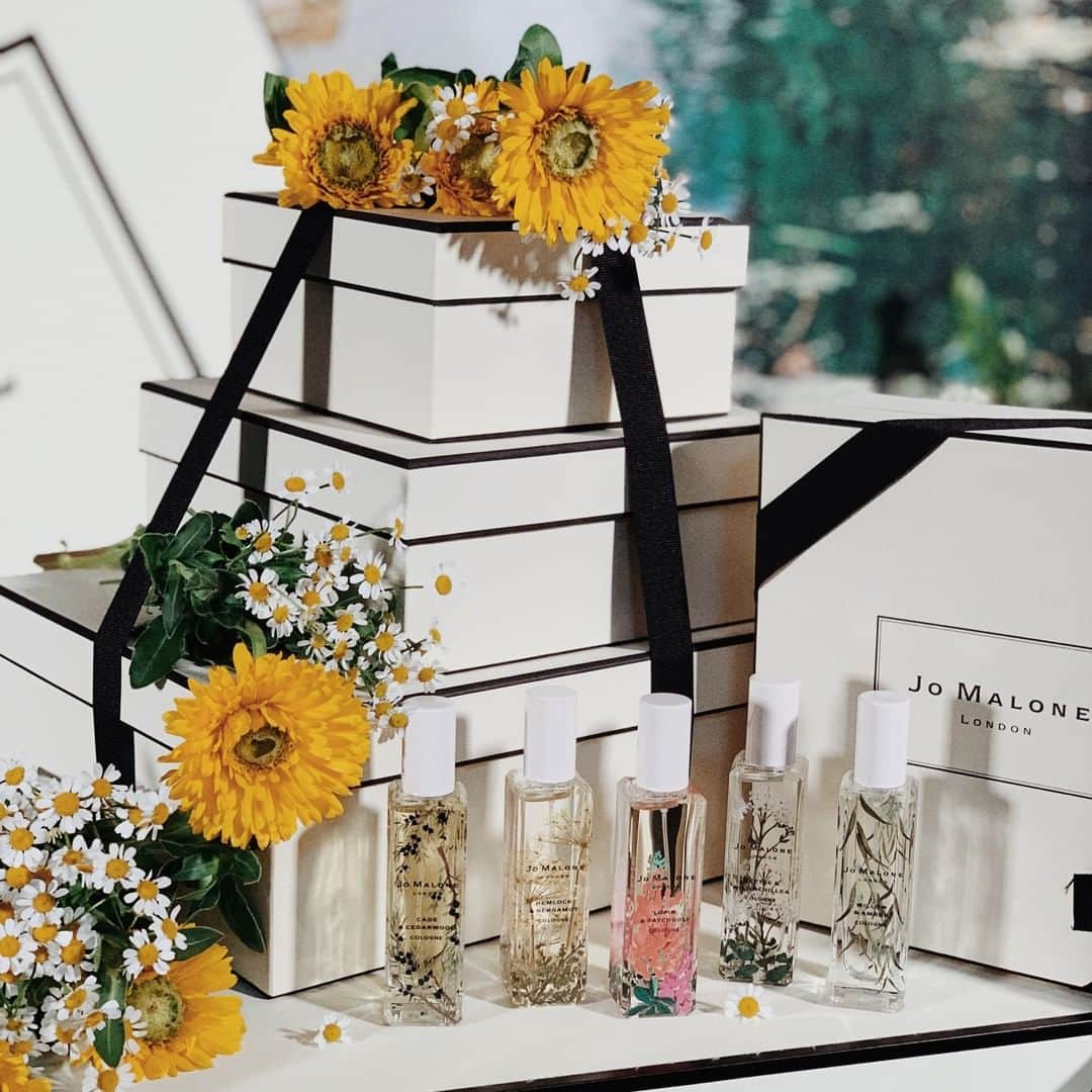 Jo Malone Londonさんのインスタグラム写真 - (Jo Malone LondonInstagram)「Five limited edition scents, beautifully boxed for a thoughtful gift. Indulge their wild side with our Wild Flowers & Weeds collection. Inspiration courtesy of @thepinkdiary. #WildlyWonderful」3月23日 3時01分 - jomalonelondon