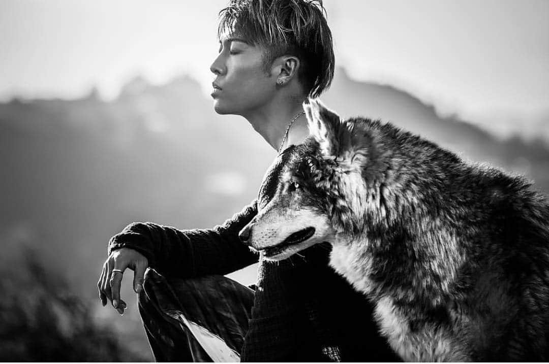 雅-MIYAVI-さんのインスタグラム写真 - (雅-MIYAVI-Instagram)「#Repost @kristianschmidt_ Always magic memories shooting with the awesome @miyavi_ishihara and our two colored eye’d wolf Jake🐺  Styled by : @kittens_not_bombs  Pants by @th3cr8r_」3月23日 4時26分 - miyavi_ishihara