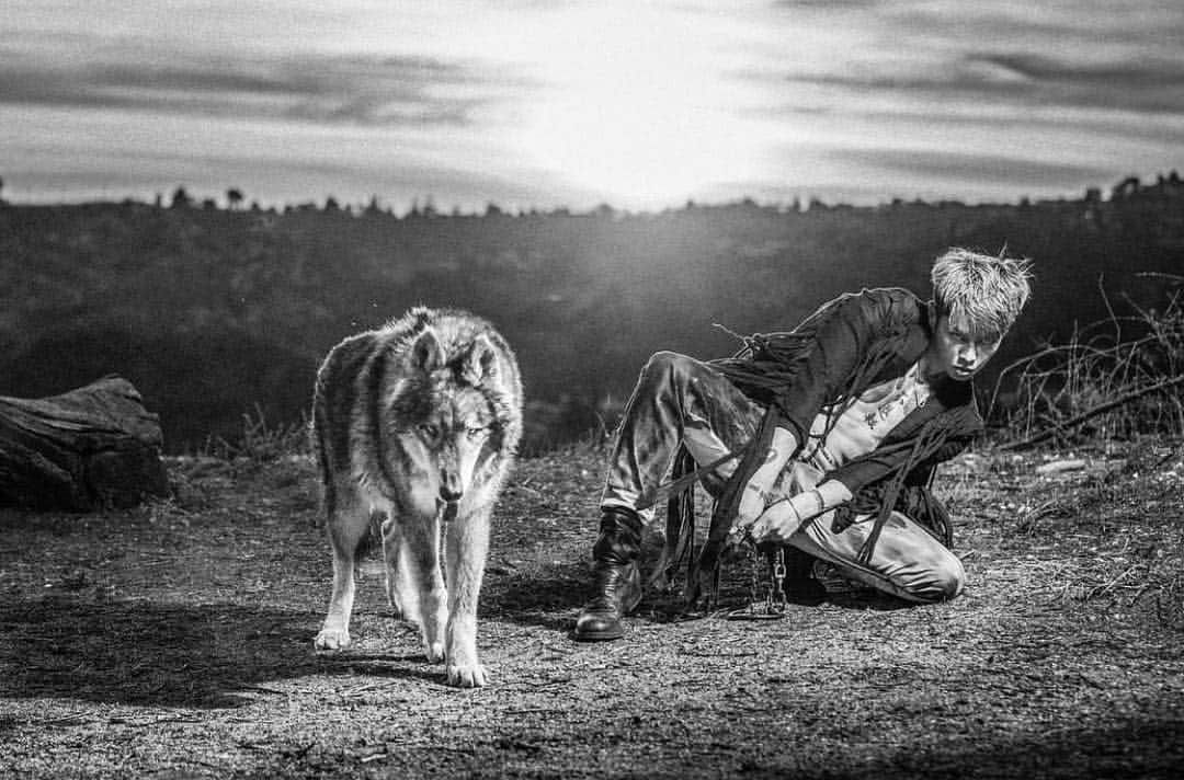 雅-MIYAVI-さんのインスタグラム写真 - (雅-MIYAVI-Instagram)「#Repost @kristianschmidt_ Always magic memories shooting with the awesome @miyavi_ishihara and our two colored eye’d wolf Jake🐺  Styled by : @kittens_not_bombs  Pants by @th3cr8r_」3月23日 4時27分 - miyavi_ishihara