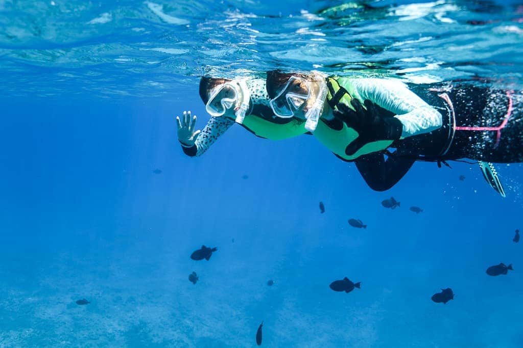 And Youさんのインスタグラム写真 - (And YouInstagram)「Here are a few tips for first-time snorkelers to make sure you have an amazing underwater experience 🏊 : 1.) Make sure all hair is out from the inside of your mask before suctioning it to your face. 2.) Tighten your mask just enough so that it won't move around. It will suction to your face naturally. 3.) Use a defog solution so that you can see the marine wildlife around you! . . . #snorkeling #tips #instatravel #diving #exploreocean」3月23日 4時38分 - dolphinsandyou