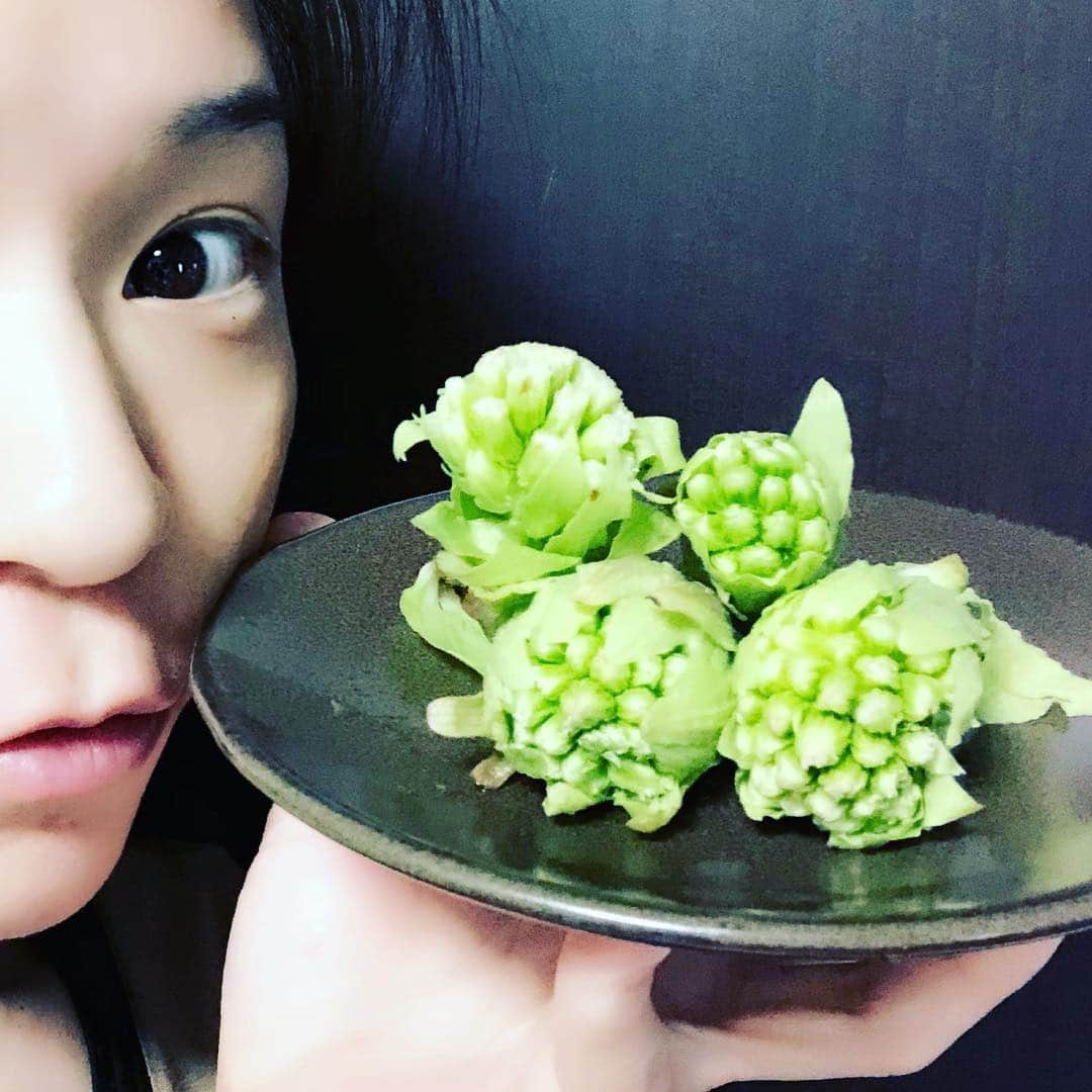 綾瀬マリアさんのインスタグラム写真 - (綾瀬マリアInstagram)「#ふきのとう #春」3月23日 5時20分 - ayasemaria