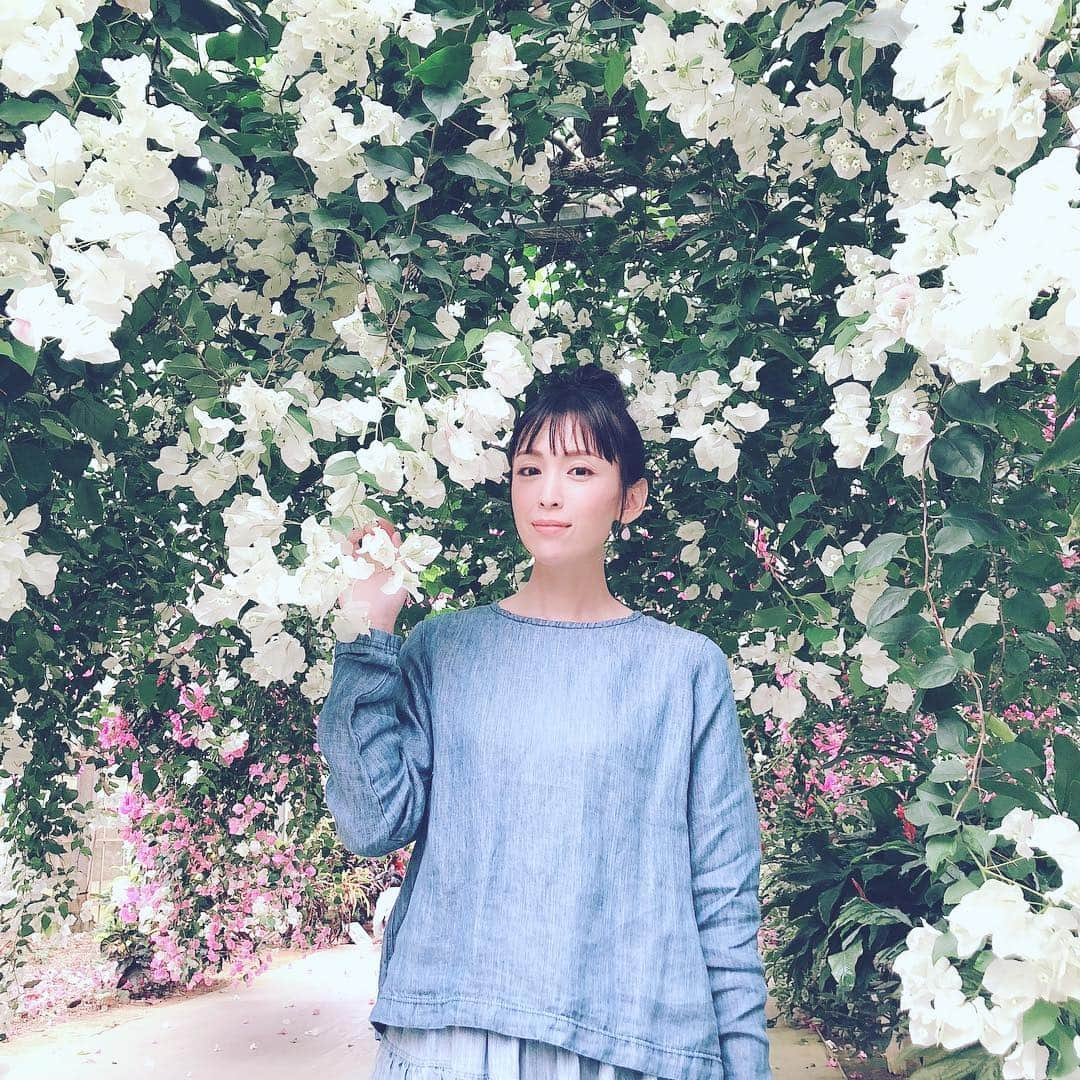 雛形あきこさんのインスタグラム写真 - (雛形あきこInstagram)「ブーゲンビリア #ちょっと寄り道」3月23日 15時38分 - akiko_hinagata