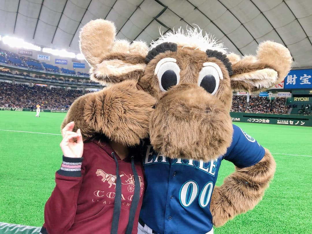 松中みなみさんのインスタグラム写真 - (松中みなみInstagram)「MOOOOSE!!!!🦌 ・ シアトル・マリナーズのマスコット 🦌ムース🦌と📸💕 いじられっぱなしでしたww ・ ・ #mlb #mlbjapan #巨人戦 #mariners  #moose #marinermoose #00  #エキサイティングシート  #マリナーズ #ムース  #いつから #いじられキャラ  #おちゃめ 💕#可愛かった 💖 #野球好き  #松中みなみ」3月23日 16時04分 - minami_matsunaka