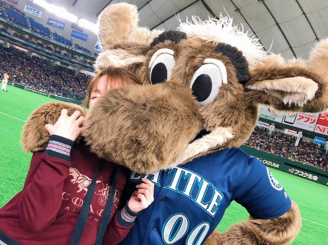 松中みなみさんのインスタグラム写真 - (松中みなみInstagram)「MOOOOSE!!!!🦌 ・ シアトル・マリナーズのマスコット 🦌ムース🦌と📸💕 いじられっぱなしでしたww ・ ・ #mlb #mlbjapan #巨人戦 #mariners  #moose #marinermoose #00  #エキサイティングシート  #マリナーズ #ムース  #いつから #いじられキャラ  #おちゃめ 💕#可愛かった 💖 #野球好き  #松中みなみ」3月23日 16時04分 - minami_matsunaka