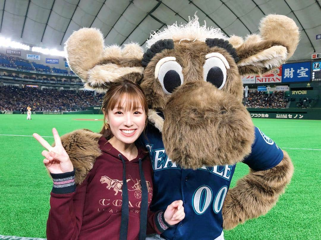 松中みなみさんのインスタグラム写真 - (松中みなみInstagram)「MOOOOSE!!!!🦌 ・ シアトル・マリナーズのマスコット 🦌ムース🦌と📸💕 いじられっぱなしでしたww ・ ・ #mlb #mlbjapan #巨人戦 #mariners  #moose #marinermoose #00  #エキサイティングシート  #マリナーズ #ムース  #いつから #いじられキャラ  #おちゃめ 💕#可愛かった 💖 #野球好き  #松中みなみ」3月23日 16時04分 - minami_matsunaka