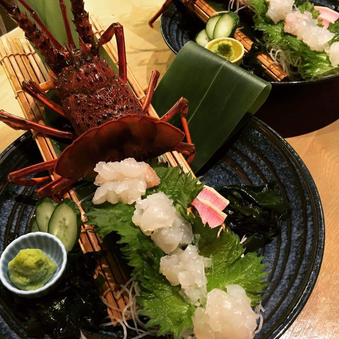 泳ぎイカ銘魚料理　磯銀さんのインスタグラム写真 - (泳ぎイカ銘魚料理　磯銀Instagram)「伊勢海老姿造里今なら百合コースに入ってます。 #磯銀#淀屋橋#肥後橋#鮮魚#日本酒#ランチ#大人の隠れ家」3月23日 16時27分 - isogin_yodoyabashi