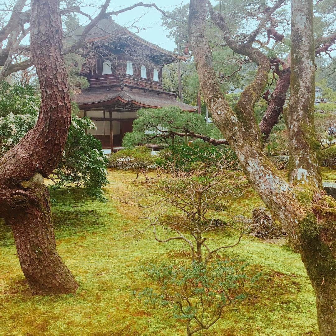 坂東亀三郎さんのインスタグラム写真 - (坂東亀三郎Instagram)「銀閣寺。 神社が好き！と投稿した直後ですが、 今回の滞在で一番落ち着いて心休まった、大好きになったお寺さんでした。最低でも月一で訪れて些細な季節の移り変わりや日本の繊細さと大胆さを感じたい！となりました。  お抹茶。 今月何杯目だろう🍵 ・ ・ #御朱印 #御朱印帳 #銀閣寺 #彦印帳 #歌舞伎 #音羽屋 #歌舞伎役者 #彦三郎 #坂東彦三郎 #九代目 #歌舞伎部 #otowayabando #彦さんぽ コメントはお気軽に📝  今後の参考や糧になるので、何枚目好き！とか、こりゃないよ！的なコメント大歓迎です。  ❻❼は我ながら好きな感じに銀閣寺の雰囲気を壊さずに撮れた。」3月23日 16時49分 - otowayabando