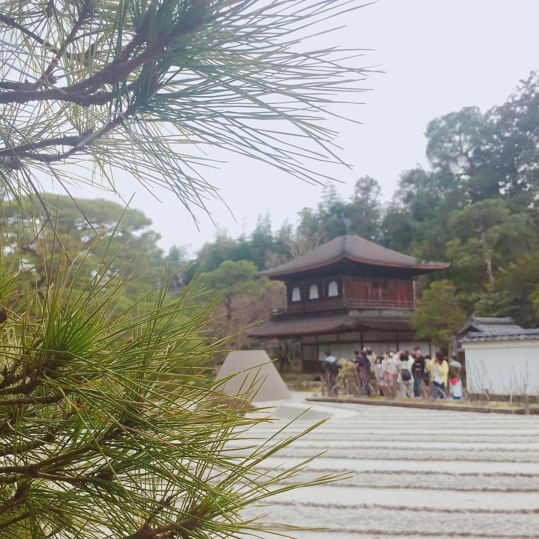 坂東亀三郎さんのインスタグラム写真 - (坂東亀三郎Instagram)「銀閣寺。 神社が好き！と投稿した直後ですが、 今回の滞在で一番落ち着いて心休まった、大好きになったお寺さんでした。最低でも月一で訪れて些細な季節の移り変わりや日本の繊細さと大胆さを感じたい！となりました。  お抹茶。 今月何杯目だろう🍵 ・ ・ #御朱印 #御朱印帳 #銀閣寺 #彦印帳 #歌舞伎 #音羽屋 #歌舞伎役者 #彦三郎 #坂東彦三郎 #九代目 #歌舞伎部 #otowayabando #彦さんぽ コメントはお気軽に📝  今後の参考や糧になるので、何枚目好き！とか、こりゃないよ！的なコメント大歓迎です。  ❻❼は我ながら好きな感じに銀閣寺の雰囲気を壊さずに撮れた。」3月23日 16時49分 - otowayabando