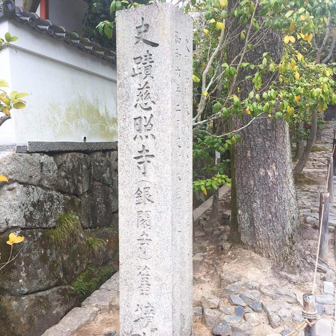 坂東亀三郎さんのインスタグラム写真 - (坂東亀三郎Instagram)「銀閣寺。 神社が好き！と投稿した直後ですが、 今回の滞在で一番落ち着いて心休まった、大好きになったお寺さんでした。最低でも月一で訪れて些細な季節の移り変わりや日本の繊細さと大胆さを感じたい！となりました。  お抹茶。 今月何杯目だろう🍵 ・ ・ #御朱印 #御朱印帳 #銀閣寺 #彦印帳 #歌舞伎 #音羽屋 #歌舞伎役者 #彦三郎 #坂東彦三郎 #九代目 #歌舞伎部 #otowayabando #彦さんぽ コメントはお気軽に📝  今後の参考や糧になるので、何枚目好き！とか、こりゃないよ！的なコメント大歓迎です。  ❻❼は我ながら好きな感じに銀閣寺の雰囲気を壊さずに撮れた。」3月23日 16時49分 - otowayabando