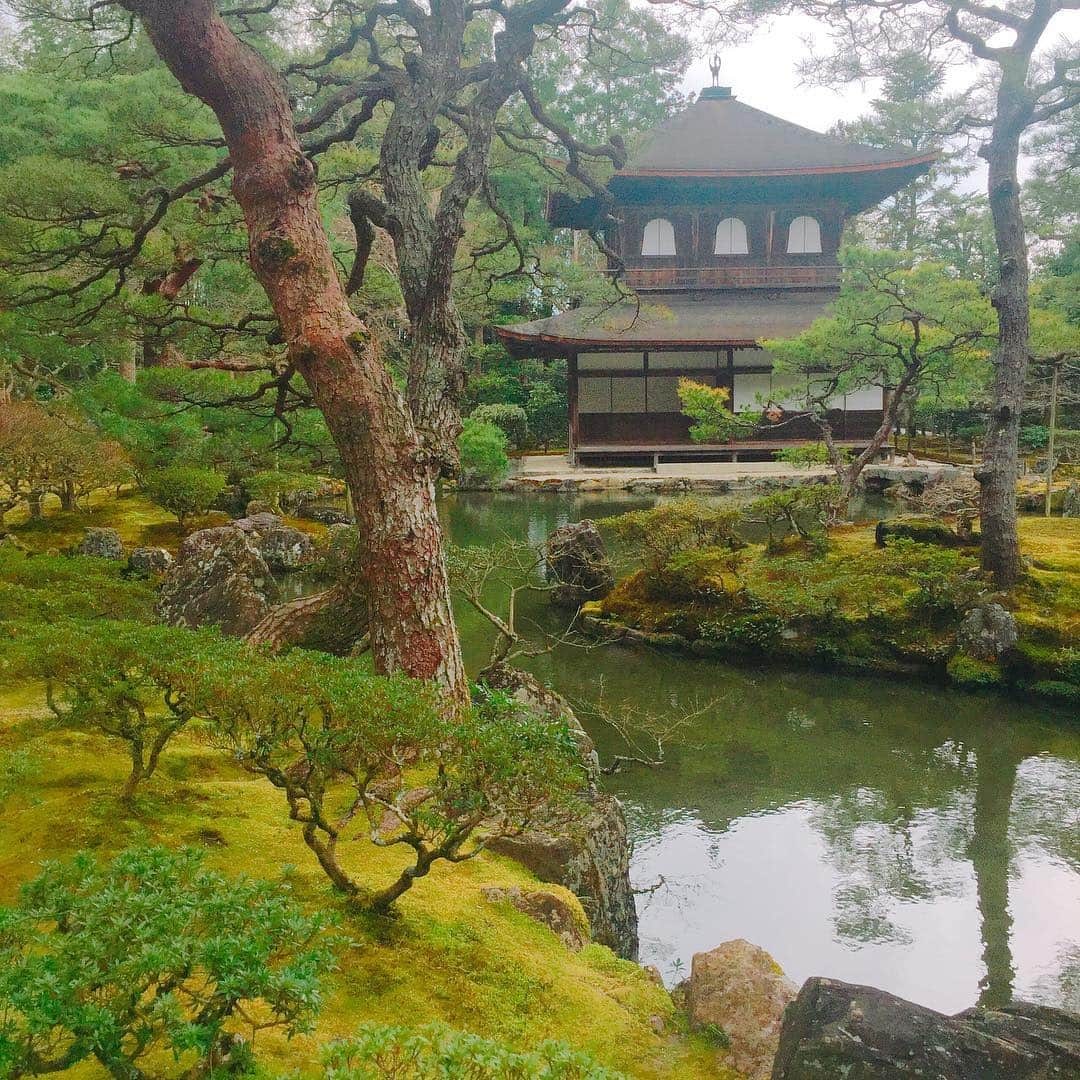 坂東亀三郎さんのインスタグラム写真 - (坂東亀三郎Instagram)「銀閣寺。 神社が好き！と投稿した直後ですが、 今回の滞在で一番落ち着いて心休まった、大好きになったお寺さんでした。最低でも月一で訪れて些細な季節の移り変わりや日本の繊細さと大胆さを感じたい！となりました。  お抹茶。 今月何杯目だろう🍵 ・ ・ #御朱印 #御朱印帳 #銀閣寺 #彦印帳 #歌舞伎 #音羽屋 #歌舞伎役者 #彦三郎 #坂東彦三郎 #九代目 #歌舞伎部 #otowayabando #彦さんぽ コメントはお気軽に📝  今後の参考や糧になるので、何枚目好き！とか、こりゃないよ！的なコメント大歓迎です。  ❻❼は我ながら好きな感じに銀閣寺の雰囲気を壊さずに撮れた。」3月23日 16時49分 - otowayabando