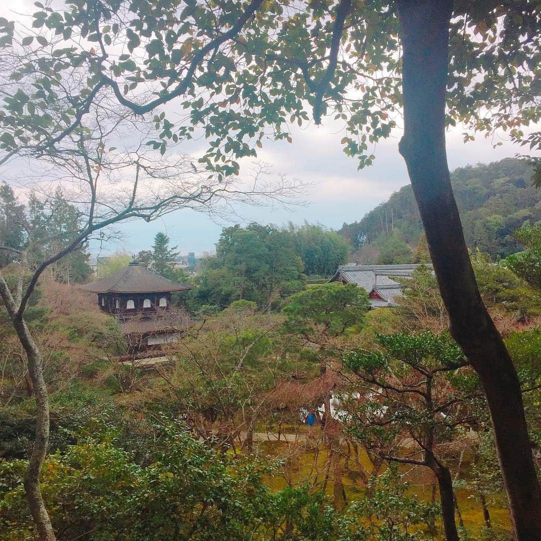 坂東亀三郎さんのインスタグラム写真 - (坂東亀三郎Instagram)「銀閣寺。 神社が好き！と投稿した直後ですが、 今回の滞在で一番落ち着いて心休まった、大好きになったお寺さんでした。最低でも月一で訪れて些細な季節の移り変わりや日本の繊細さと大胆さを感じたい！となりました。  お抹茶。 今月何杯目だろう🍵 ・ ・ #御朱印 #御朱印帳 #銀閣寺 #彦印帳 #歌舞伎 #音羽屋 #歌舞伎役者 #彦三郎 #坂東彦三郎 #九代目 #歌舞伎部 #otowayabando #彦さんぽ コメントはお気軽に📝  今後の参考や糧になるので、何枚目好き！とか、こりゃないよ！的なコメント大歓迎です。  ❻❼は我ながら好きな感じに銀閣寺の雰囲気を壊さずに撮れた。」3月23日 16時49分 - otowayabando