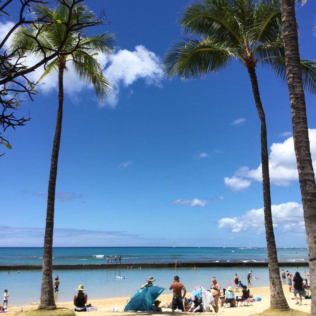 Belle Vie Hawaiiさんのインスタグラム写真 - (Belle Vie HawaiiInstagram)「新発売✨プルメリアの香りのバスソープ✨﻿ ﻿ 一枚一枚はがしてバスタブに入れると﻿ 華やかなプルメリアの香りが広がります🛁﻿ ﻿ ハワイの思い出やお土産にぴったり🌼﻿ ﻿ ﻿ ﻿ 今日もワイキキは絶好のビーチ日和です🏖﻿ 皆さま楽しい週末を💕﻿ ﻿ ﻿ ﻿ ﻿ ﻿ ﻿ ﻿ ﻿ #belleviehawaii #hawaii﻿ #aloha #waikiki﻿ #honolulu #oahuhawaii﻿ #alohafriday #plumeria﻿ #ハワイ #ベルヴィー﻿ #ハワイ大好き #ハワイ旅行﻿ #アロハ #カラカウア通り﻿ #オアフ #ワイキキビーチ﻿ #アロハフライデー #プルメリア﻿ #ホノルル #ハワイ生活﻿ #ハワイ好き #ワイキキ﻿ #ハワイ好きな人と繋がりたい﻿」3月23日 8時13分 - belleviehawaii