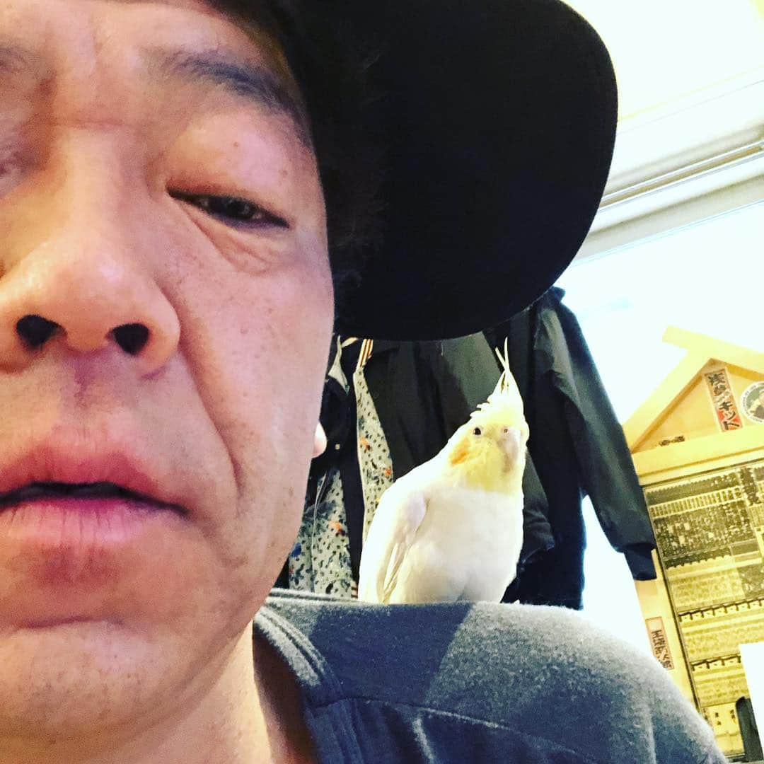 玉袋筋太郎さんのインスタグラム写真 - (玉袋筋太郎Instagram)「鳥葬沙汰デー」3月23日 8時30分 - sunatamaradon