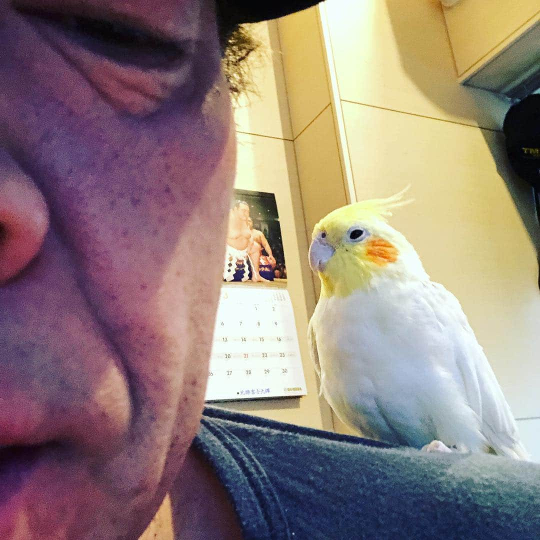 玉袋筋太郎さんのインスタグラム写真 - (玉袋筋太郎Instagram)「鳥葬沙汰デー」3月23日 8時30分 - sunatamaradon