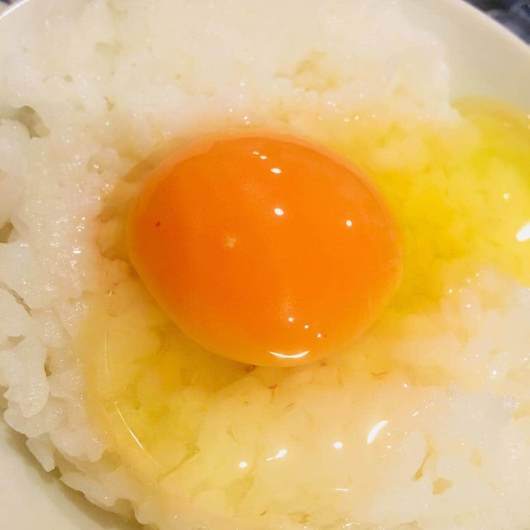 亀田大毅さんのインスタグラム写真 - (亀田大毅Instagram)「日本一のたまごが届きました #こだわり家族のこだわり卵  色々試したけど普通に卵かけ御飯が最強であることがわかった。 #日本一#とゆうこたは#つまり#世界一# http://www.cera-rouge.co.jp/」3月23日 9時15分 - daikikameda3