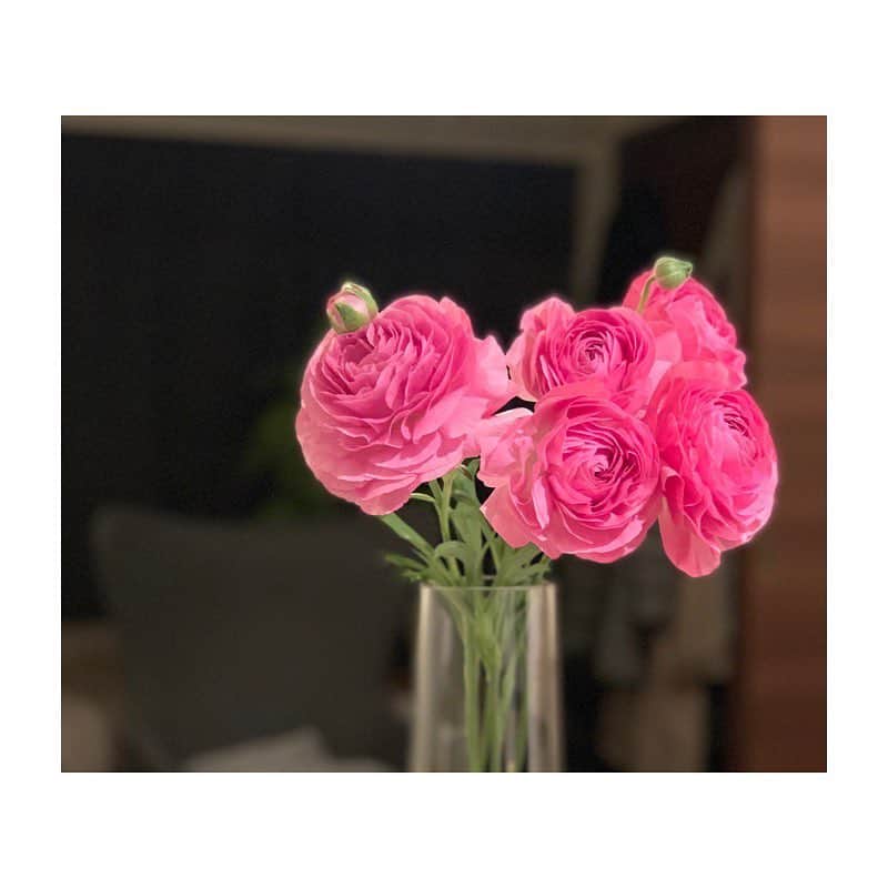 市橋有里のインスタグラム：「おはようございます！今日は会いたかった人に会える日💛春のお花も食材も好きだな。みなさま良い週末を✨ ・ #instagood  #instafood #ranunculus #ラナンキュラス  #ホタルイカ  #鯛」