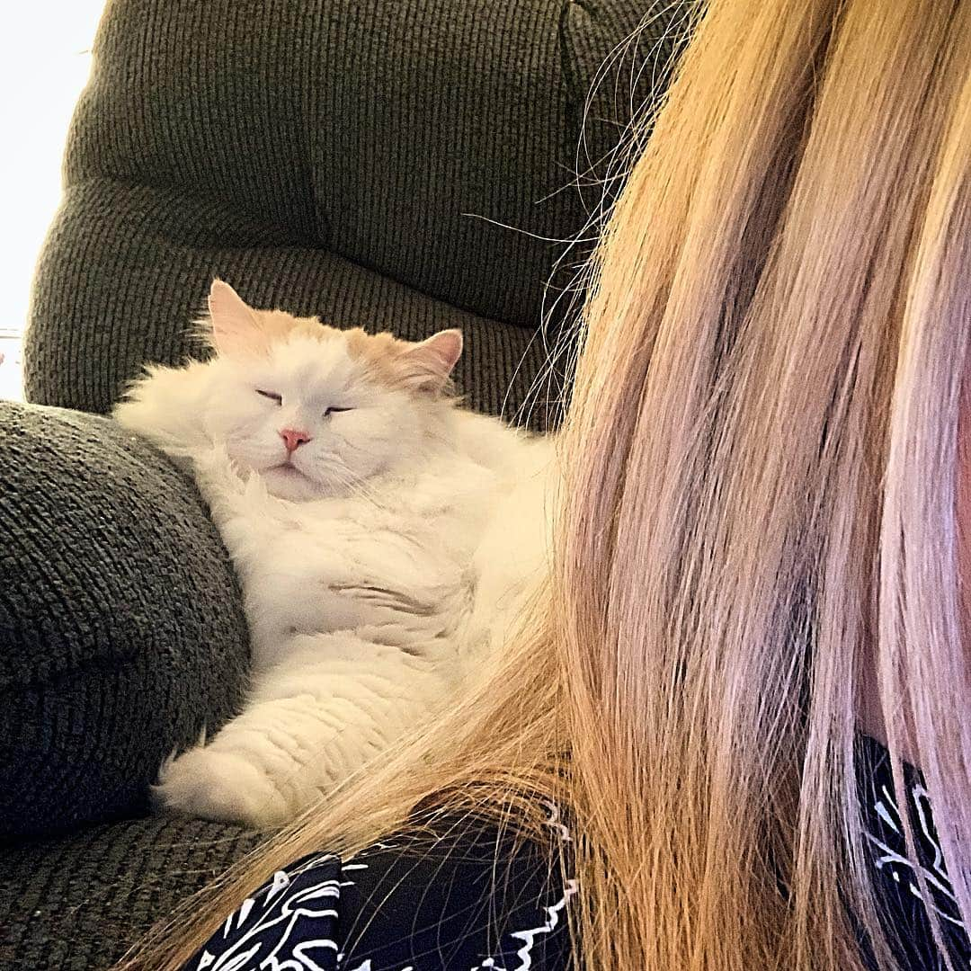 ソフィーさんのインスタグラム写真 - (ソフィーInstagram)「When you sit on the floor to play and this guy jumps over your shoulder to steal your seat. I know you’re not sleeping Lou it was 30 seconds ago.」3月23日 9時33分 - sophielovestuna