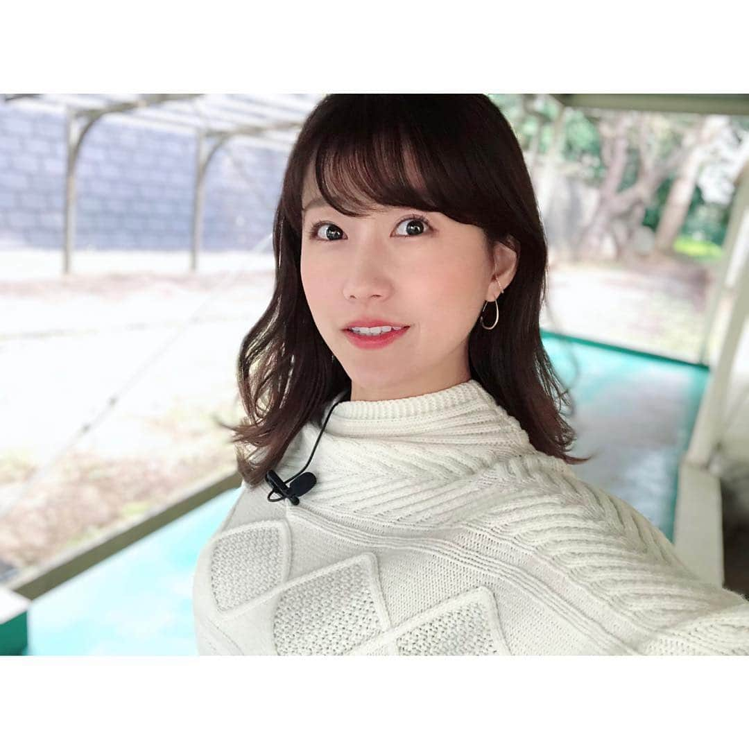 津田麻莉奈さんのインスタグラム写真 - (津田麻莉奈Instagram)「ただいま、ロケ中〜🙌☂️ ⁑ #おはよう #ロケ #撮影 #4時起き #早起きがんばった #リポーター #雨の日 #湿気との戦い #今日寒いな #ロケ終わったらグリーンチャンネル #17時から生放送みてね #千葉 #chiba #japan #くびれミディ #ミディアムヘア  #selfie #selfportrait  #まりなる #津田麻莉奈」3月23日 10時01分 - tsudamarinal