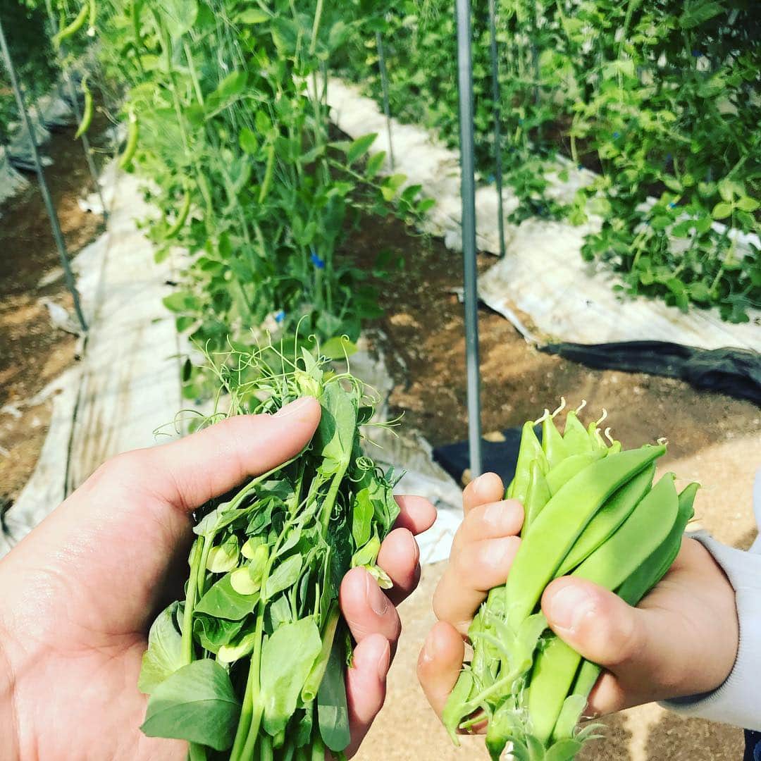 香港海鮮酒家 Lei U Munのグルメインスタ
