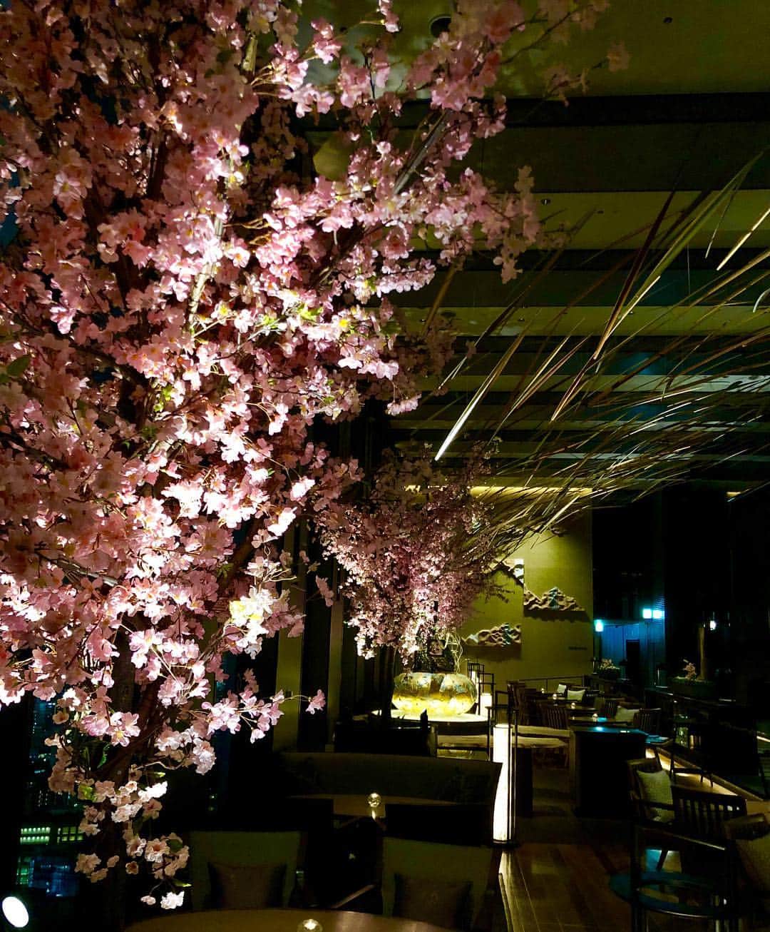 Table 9 TOKYO のインスタグラム：「Fully cherry blossoms in hotel !?﻿ ﻿ 満開の桜をイメージした装飾が始まっています🌸﻿ ﻿ ホテル最上階でお花見気分はいかがですか？﻿ ﻿ @table9tokyo ﻿ #桜#お花見#cherryblossom ﻿ —————————————————﻿ #tokyo#japan#品川プリンスホテル#接待#グルメ#品川#shinagawa##ホテル#グルメ女子#food#life#旅行#travel#ウェディング#食事会#顔合せ#バー#bar#結婚式らしくない結婚式」