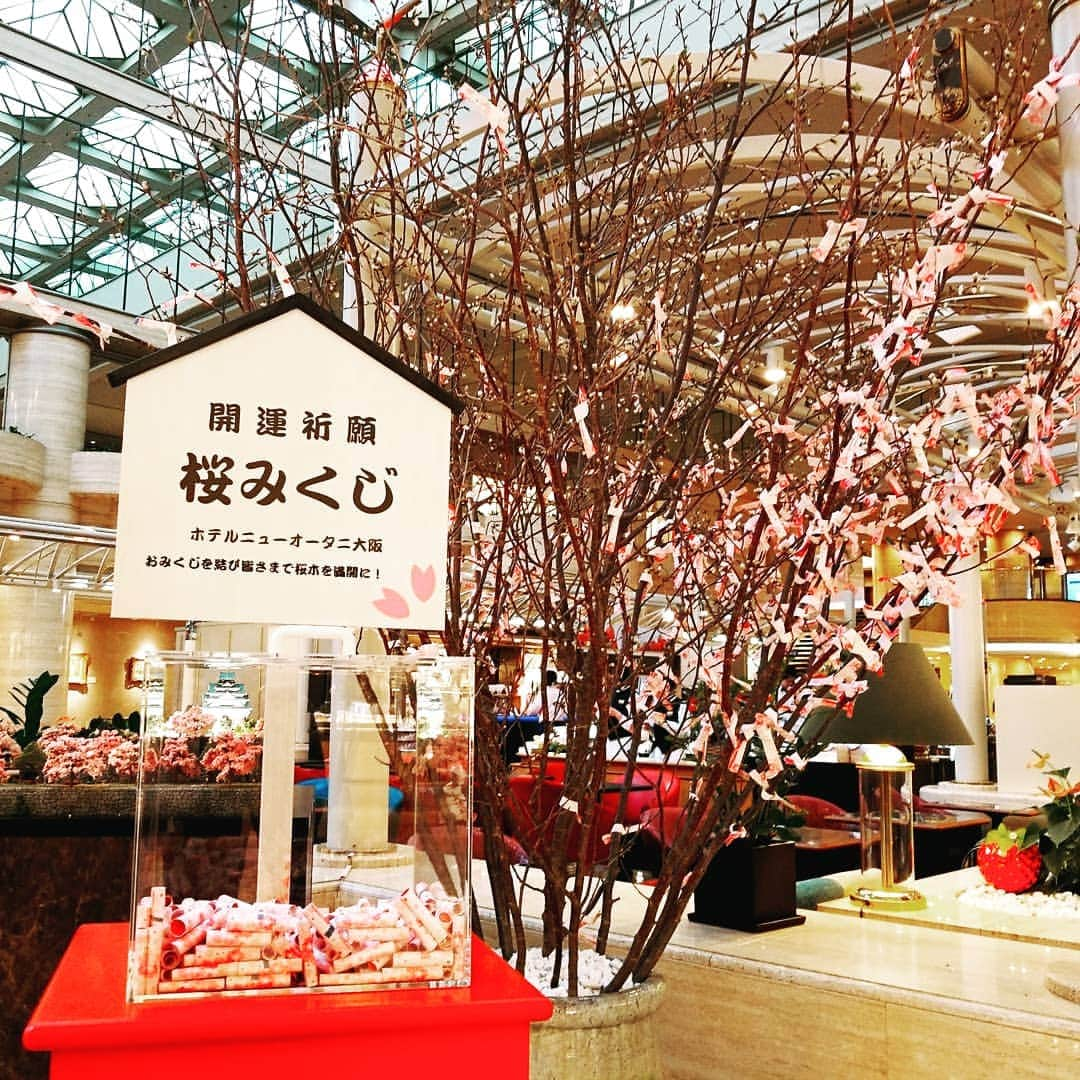 newotani_osakaさんのインスタグラム写真 - (newotani_osakaInstagram)「. ホテルのロビーに『開運祈願！桜みくじ』が登場です⛩️ おみくじを引いて桜木を満開にしてください😆🌸 . #桜 #開花 #🌸 #大阪城  #桜みくじ #newotani_osaka #ホテルニューオータニ大阪  #hotelnewotaniosaka」3月23日 10時56分 - newotani_osaka