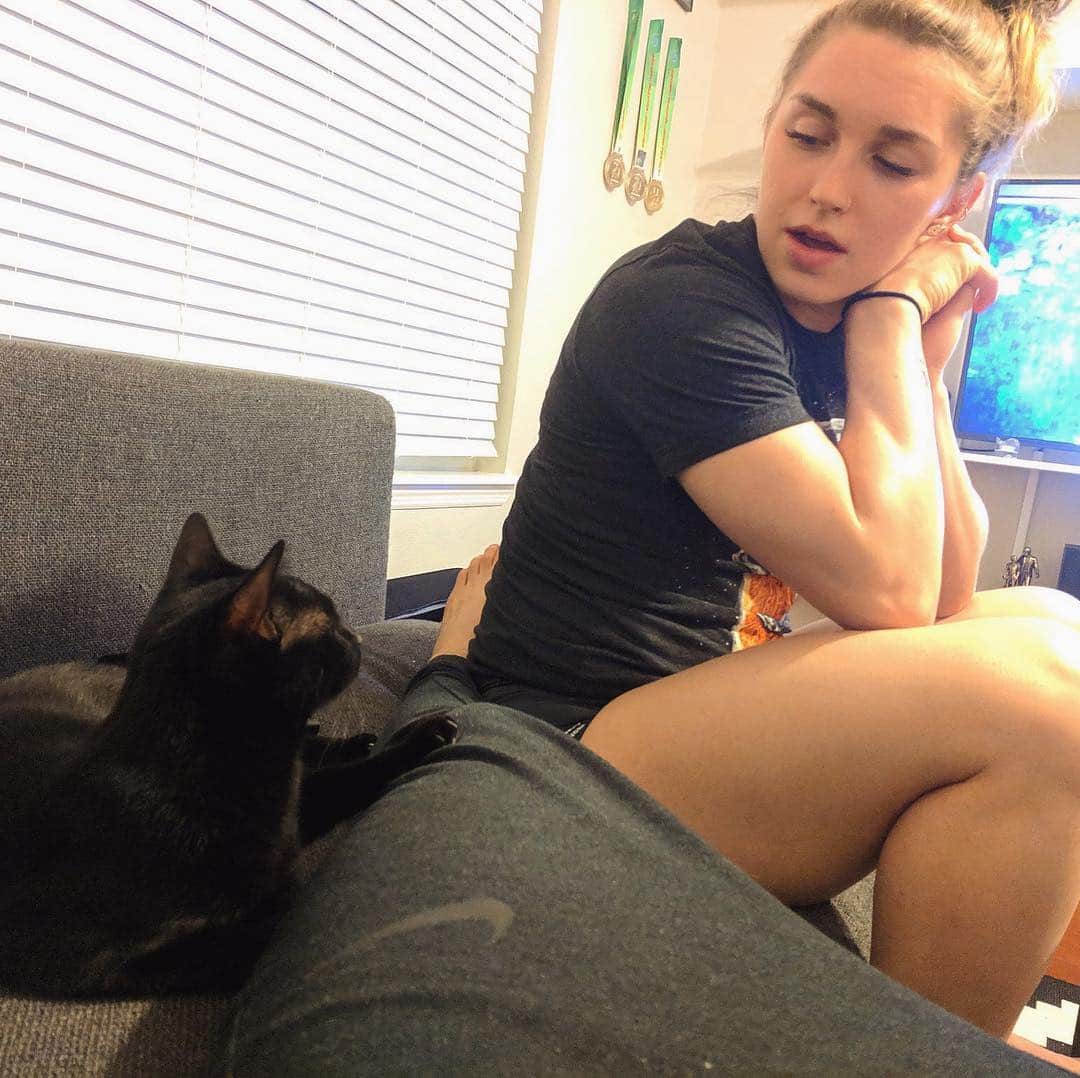 マッティ・ロジャーズのインスタグラム：「Just telling my cat that he is the most perfect creature that has ever existed and no other cat can ever replace him hbu」