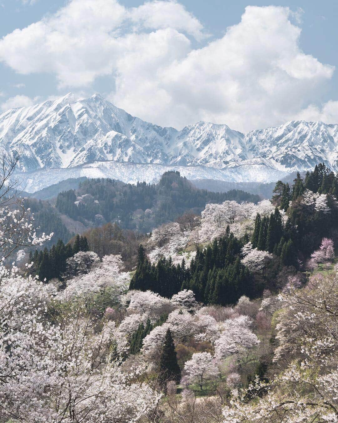 ?長野県 観光 公式インスタグラム さんのインスタグラム写真 - (?長野県 観光 公式インスタグラム Instagram)「//﻿ Photo by @ctrl_plus_v﻿ ﻿ The Northern Japanese Alps﻿ (Otari, Hakuba & Matsukawa Villages; Ikeda Town, Omachi City)﻿ ﻿ The Hida Mountain Range is located in the northwestern part of Nagano. It is nicknamed “the Northern Japanese Alps.”﻿ ﻿ This mountain range, home to Mts. Yari and Hotaka among others, captivates mountain climbers with its beauty.﻿ ﻿ ===========﻿ ﻿ ﻿ 「北アルプス」﻿ ＠小谷村、白馬村、大町市、松川村、池田町﻿ ﻿ 長野の北西部に位置する「飛騨山脈」﻿ 通称である「北アルプス」の名前で﻿ よく知られている山脈です⛰﻿ ﻿ 槍ヶ岳や穂高岳をはじめ﻿ その美しい山々を擁する「北アルプス」は﻿ 登山者を虜にしています🍃﻿ ﻿ ＿＿＿＿＿＿＿＿＿ ﻿ ﻿ Location /Otari Village,Hakuba Village, Matsukawa Village, Ikeda Town, Omachi City, Nagano, Japan ﻿ ﻿ #長野のいいところ #北アルプス #小谷村 #白馬村 #大町市 #松川村 #池田町﻿ ﻿ ﻿」3月23日 17時10分 - nagano_japan