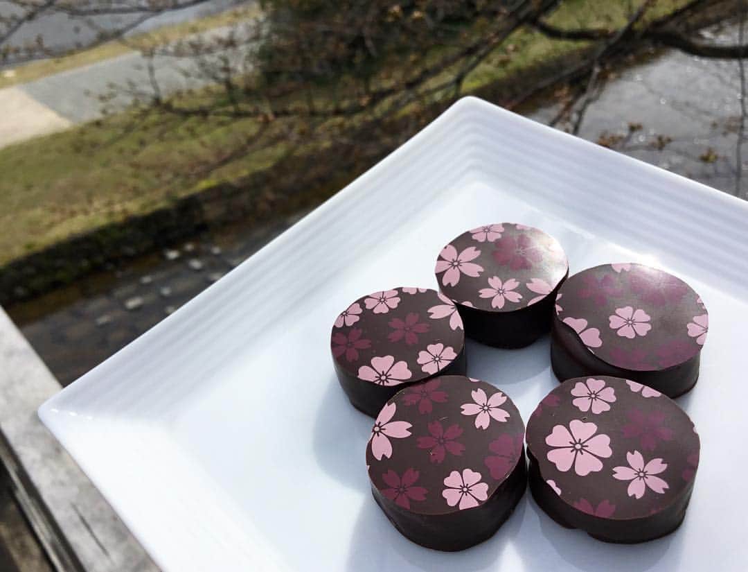 のインスタグラム：「. . 『パレショコラ〜桜〜』 . 桜と苺風味のガナッシュに、三種のナッツとマシュマロを合わせました🌟 . 今まで当店にはなかった、まったく新しいタイプのショコラとなっております💓 . ぜひこの季節にパレショコラ桜味で、春を先取りしてみてはいかがでしょうか🌸✨ . . . #サロンドロワイヤル京都 #サロンドロワイヤル #京都 #京都スイーツ #ボンボンショコラ #京都カフェ #チョコレートショップ #ショコラトリー #パティスリー #チョコレート #チョコ #ショコラ #chocolate #chocolat #chocolatier #salonderoyal #桜 #桜スイーツ #さくら #さくらスイーツ #マシュマロ #ナッツ」