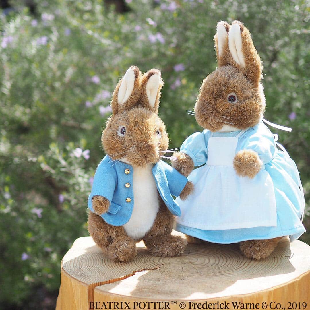 ワンズテラスのグルメインスタ