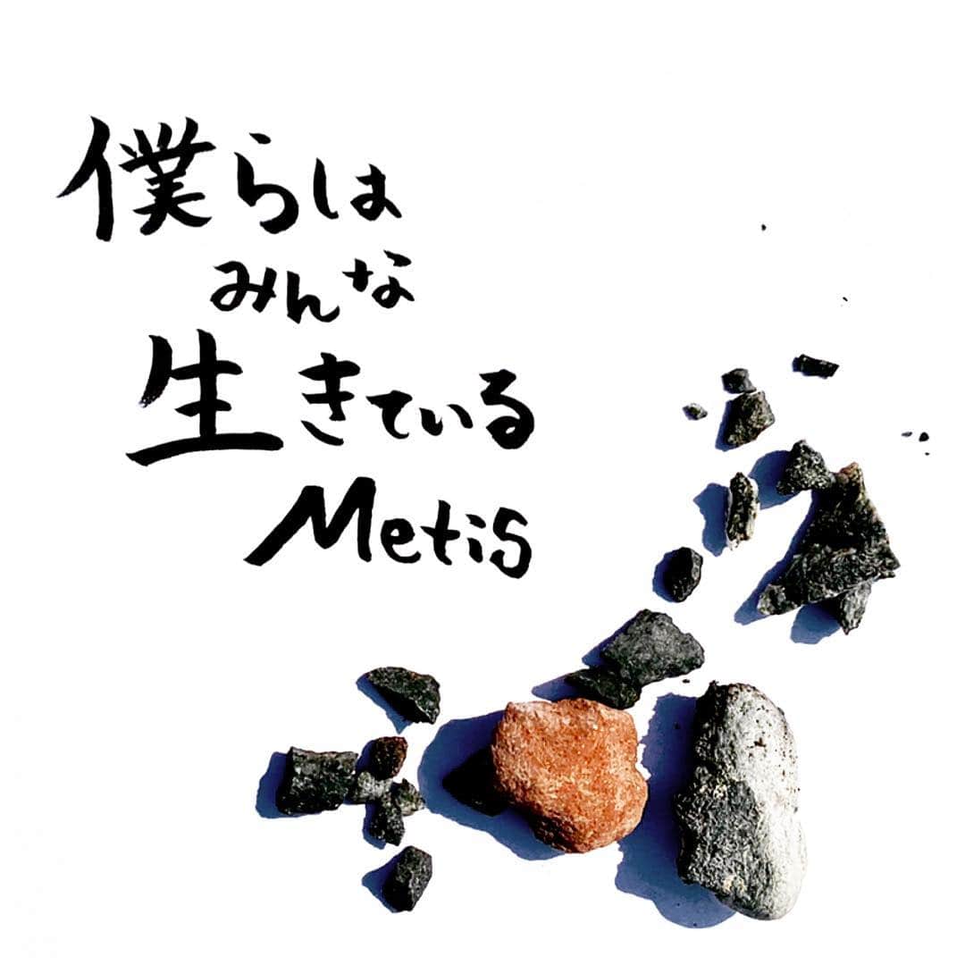 Metisのインスタグラム