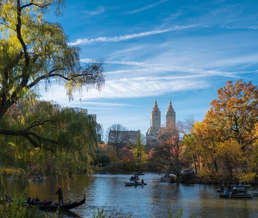 National Geographic Travelさんのインスタグラム写真 - (National Geographic TravelInstagram)「Photo by Muhammed Muheisen @mmuheisen | On a sunny day in Central Park, New York back in November of 2016. For more photos and videos from different parts of the world, follow me @mmuheisen and @mmuheisenpublic #muhammedmuheisen #newyork #centralpark」3月23日 13時02分 - natgeotravel