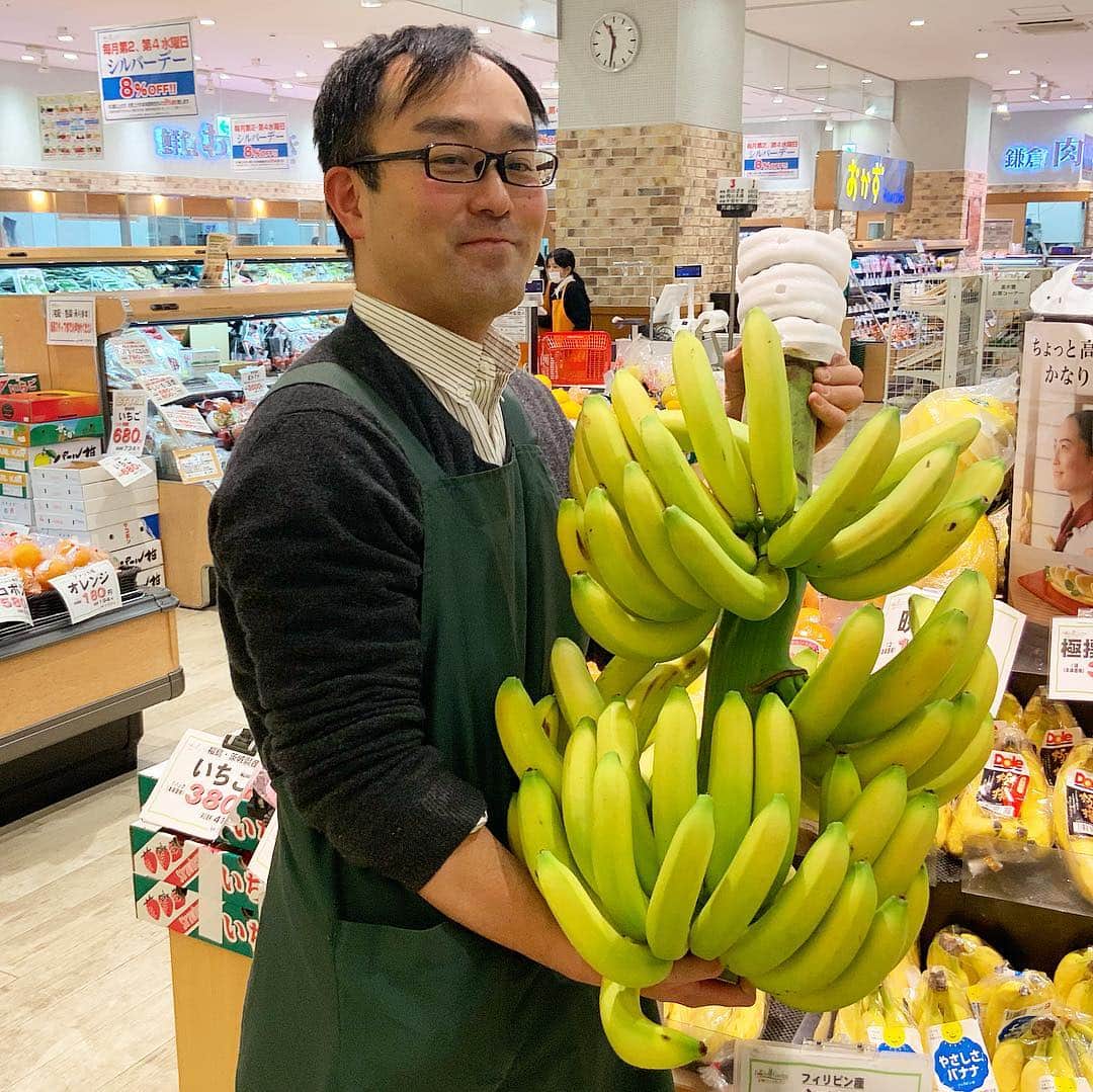 LATOV_ラトブ さんのインスタグラム写真 - (LATOV_ラトブ Instagram)「【1階 青果ナガヤマ】 ☆バナナの木☆ 設置の都合上逆さになっていますが、この状態ではなかなかお目にかかれませんよね！ 持たせてもらいましたが、かなり重いです！ お買い求めの方、ご相談ください！  台湾バナナも入荷しています。 健康や美容に良いバナナで栄養補給をしてバランスの良い食生活を送りましょう(^-^) #ラトブ #いわき #青果ナガヤマ #バナナの木 #バナナ #台湾バナナ」3月23日 13時20分 - latov_20071025