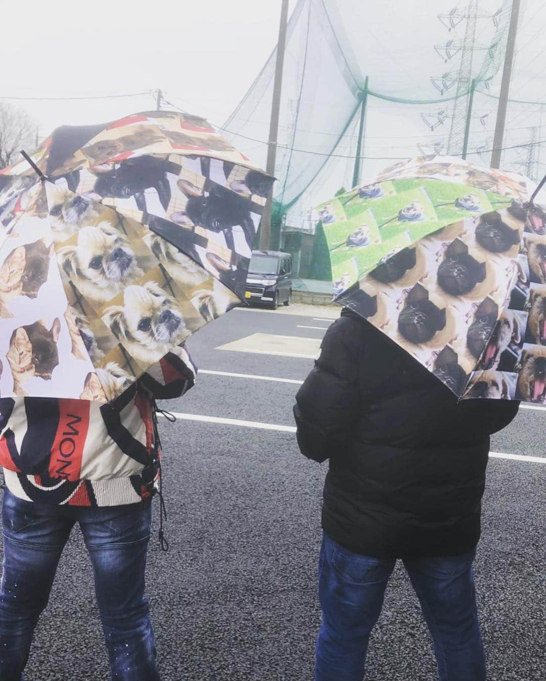 彩羽匠さんのインスタグラム写真 - (彩羽匠Instagram)「今日は雨日和  愛犬達の写真が入った傘☂️ 初おろし！！ #傘のプレゼント」3月23日 13時47分 - takumi.marvelous