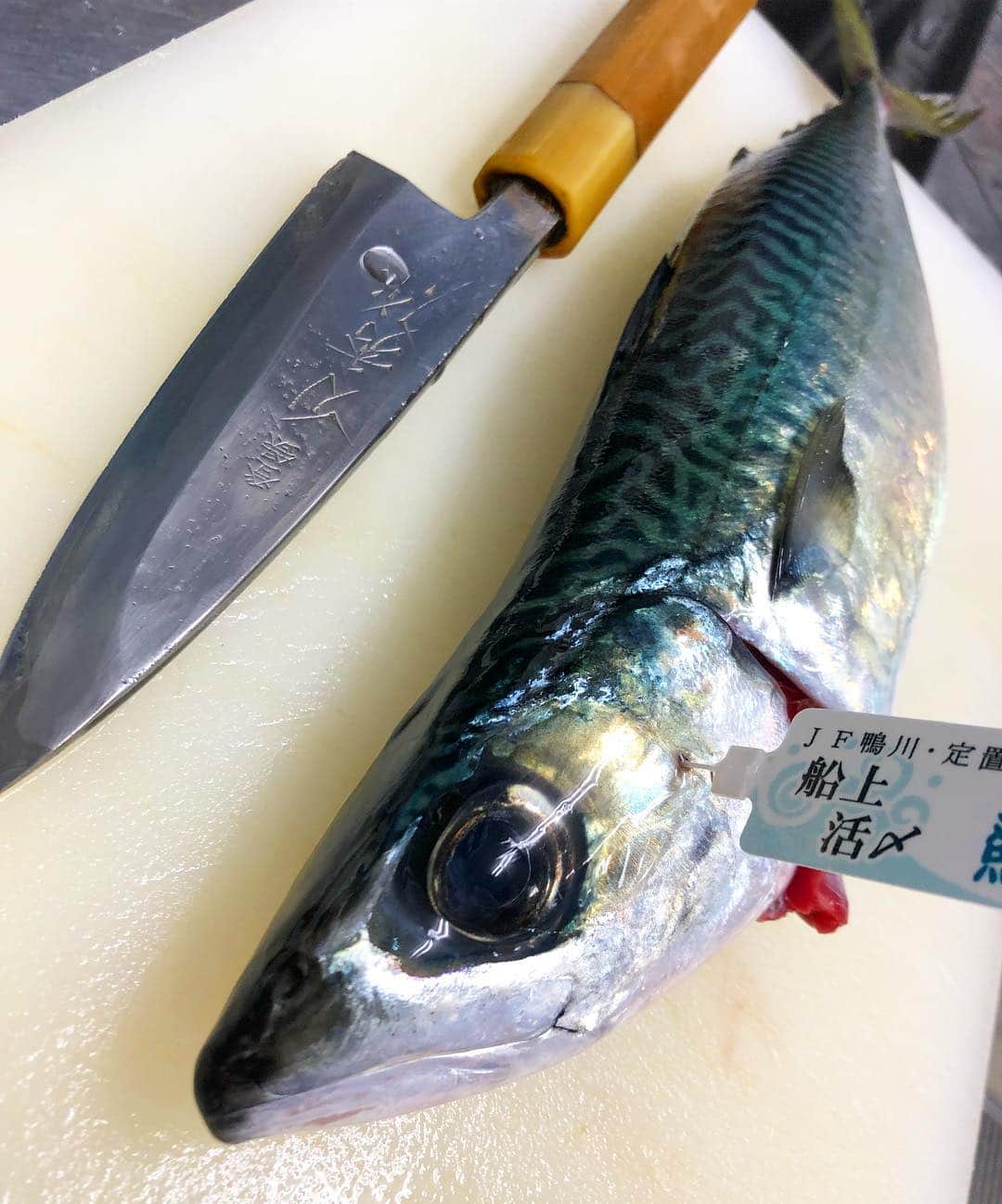 寿司居酒屋 番屋のグルメインスタ