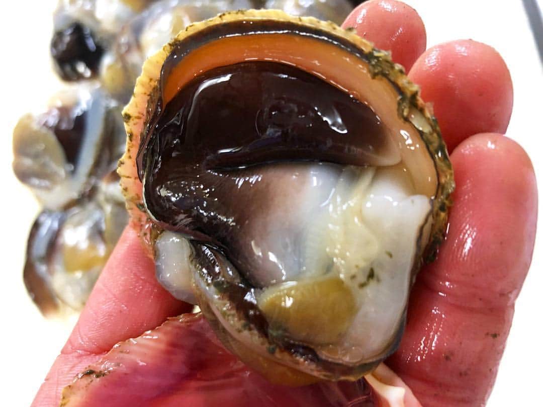 寿司居酒屋 番屋のグルメインスタ