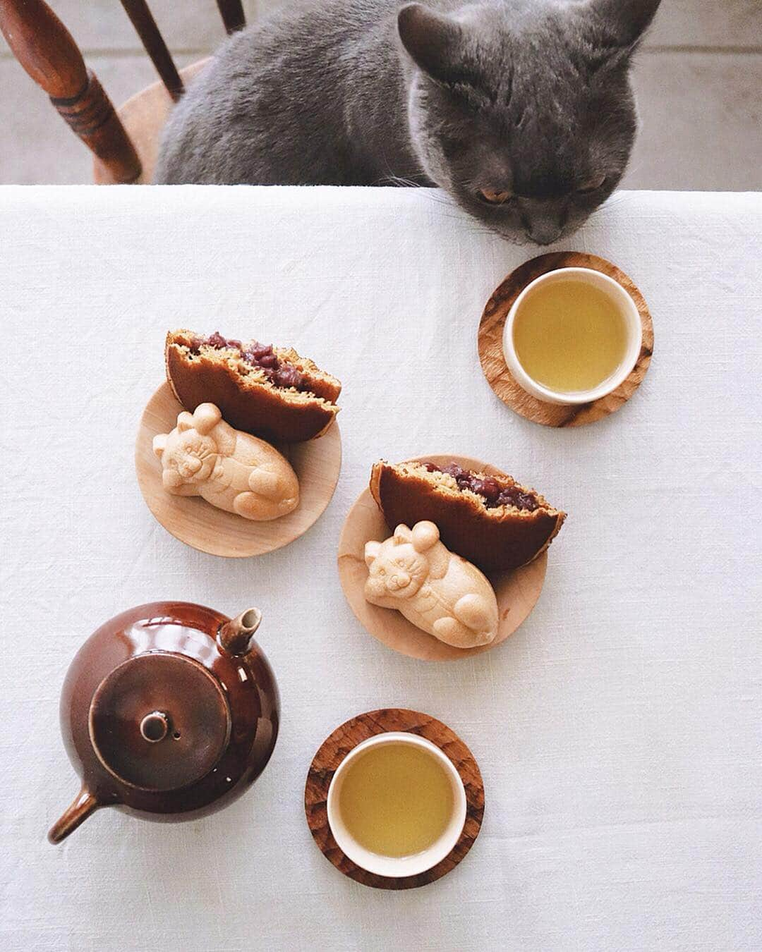 樋口正樹さんのインスタグラム写真 - (樋口正樹Instagram)「Tarafuku Monaka . 今日のおやつは 白樺の錦どらと、 たらふくもなか。 . . #錦どら #たらふくもなか #錦糸町 #和菓子 #もなか #最中 #手土産 #招き猫 #あまいものがとまらない #dorayaki #monaka #tarafukumonaka」3月23日 14時44分 - higuccini