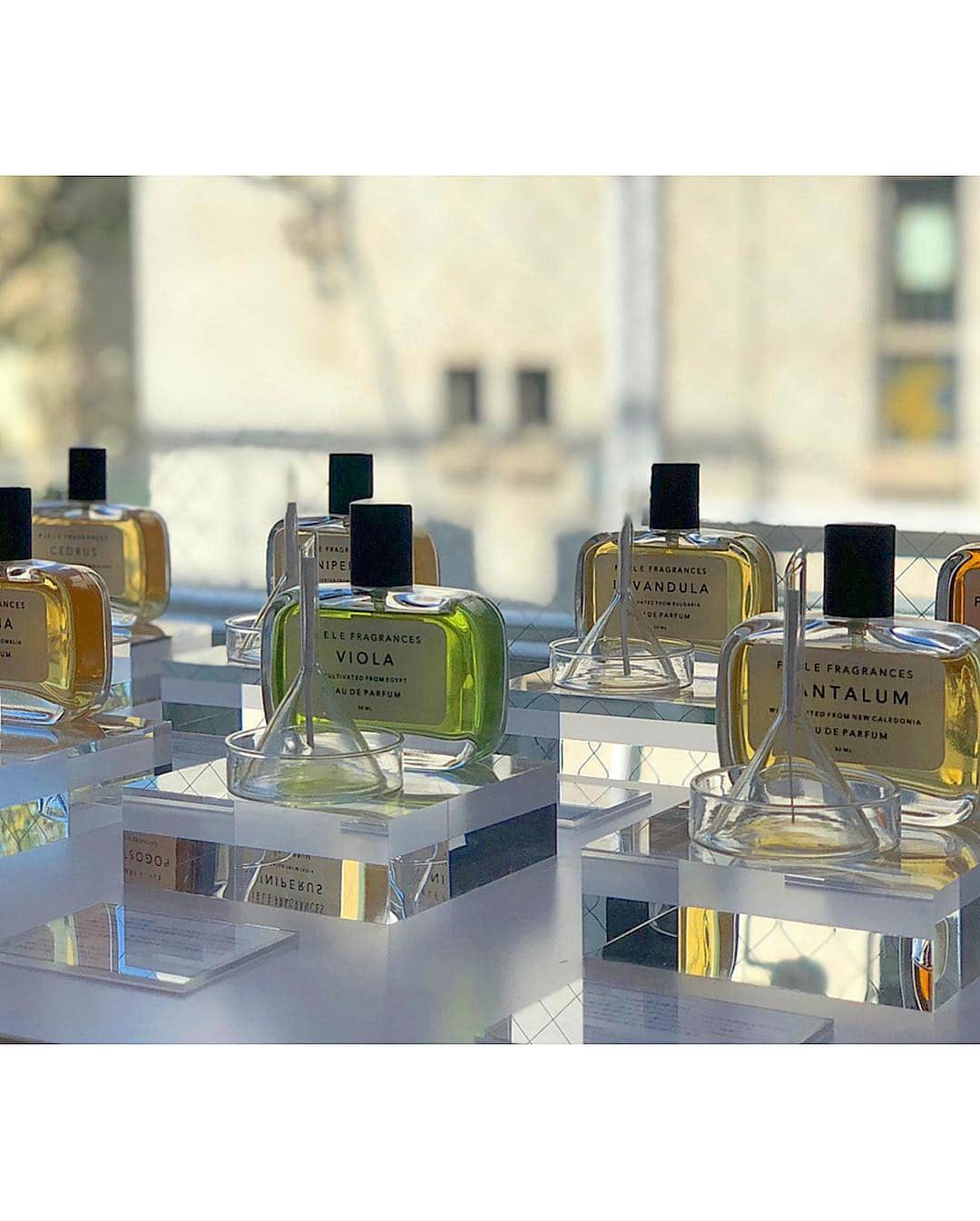 西山真以さんのインスタグラム写真 - (西山真以Instagram)「* 先日、LA発のビーガンフレグランス・ブラン「ORRIS PERFUMERY」が展開する3ラインと、今秋から日本国内で展開予定の2つのフレグランス・ブランドの発表会にお邪魔してきました♪  会場中にいい香りが広がる癒しの空間。  @lolajamesharper は、フレグランス、キャンドル、ともにど真ん中の香りで、久々に心射抜かれました❤︎ . フレグランスはローズベースの、 “ JUST SAY YES ”  スミレベースの “ DO WHAT YOU LOVE WITH PEOPLE  YOU LOVE ”  の2種類をオーダー。  キャンドルは、No.5 “THE WHITE COFFEE ON TETA BALCONY” を。 ひとつひとつに、パリジェンヌのリアルライフの舞台となる場所の名前がついた各ナンバー。 それぞれのシーンが浮かぶようなドラマチックさが込められているところもまた素敵。  @orrisperfumery もナチュラルでふわっと優しい香りで、こちらもかなり好みなブランドでした。 動物実験を行なっていないという部分も◎ JUNIPERUS とLAVANDULA 、が個人的に特に好きな香りでした❤︎ ボトルデザインも素敵。  @blackbird.black は他にはなかなかない個性的な香りが印象的でした。 プレゼントにも喜ばれそうなお洒落なデザイン。  お気に入りのブランドがまた増えました❤︎ . 9月に届くのが楽しみだなぁ♪  取り扱いは、Super A marketやtomorrowland、BARNEYS NEW YORK などのセレクトショップ系にて販売されるそうです。  @karin_sato いつもthank you❤︎ .  #lolajamesharper  #orrisperfumery  #blackbird #fragrance #candle #perfume」3月23日 14時38分 - mai0830