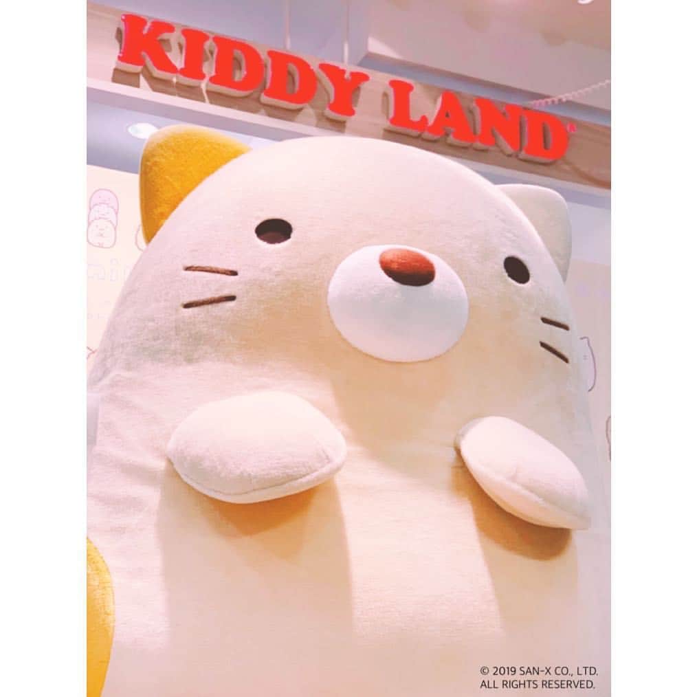 KIDDY LAND officialさんのインスタグラム写真 - (KIDDY LAND officialInstagram)「吉祥寺店に来てくれました😊 明日も13時と15時に遊びに来てくれます🙌 遊びに来てくださいね❤️ #すみっこぐらし  #吉祥寺 #kichijoji  #sanx #サンエックス  #すみっこ  #リラックマ #リラックマストア  #ネコ #ねこ #cat」3月23日 15時19分 - kiddyland_co.jp