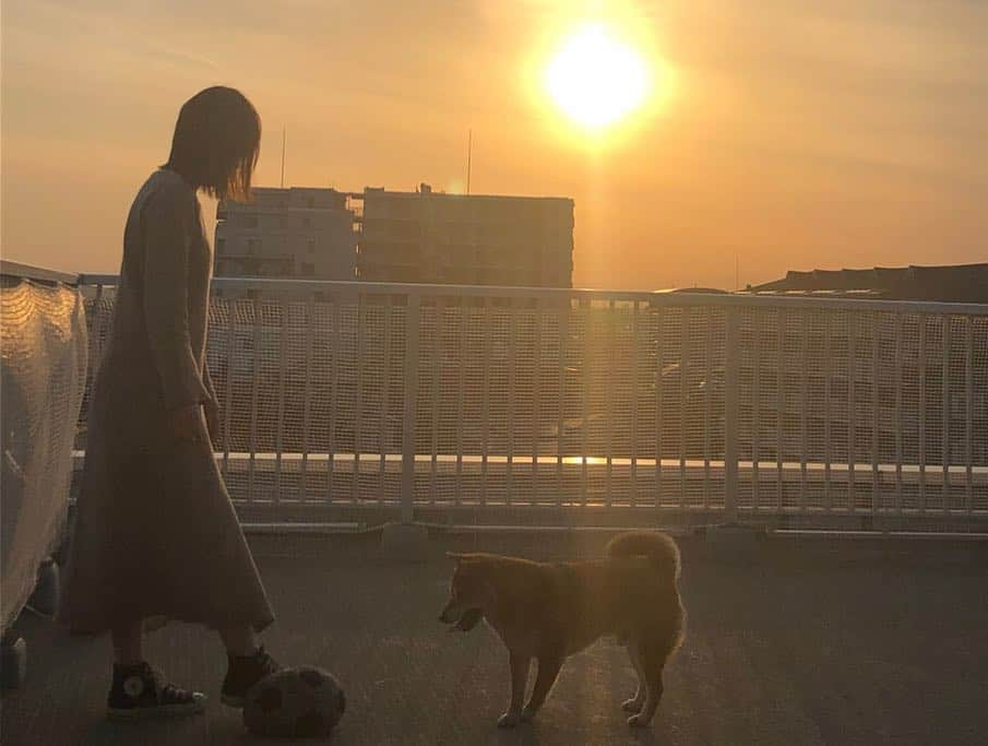 足立かりんさんのインスタグラム写真 - (足立かりんInstagram)「夕暮れ時。 #バルコニーにて #素敵な休日時間 #大好きが詰まってる #ゆっくりな時間 #綺麗なモノしか視界に入ってこない #コレを幸せと呼ぶのだろーか #お邪魔しましたー #ゆーと #こな #青山家 #バルコニー #夕日 #最高」3月23日 15時18分 - karinadachi