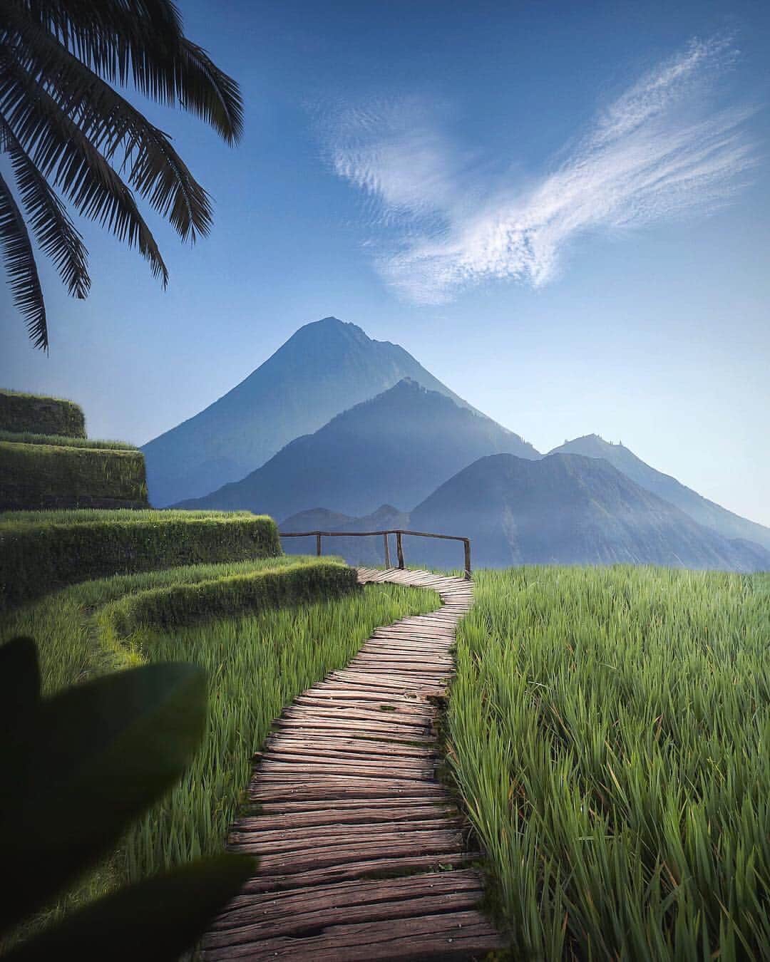 Canon Photographyさんのインスタグラム写真 - (Canon PhotographyInstagram)「Stunning scenery in Indonesia! So peaceful!  Photomanipulation | @visualsofjulius  #bali #indonesia #sunny #plamtrees #walkway #bluesky」3月24日 0時56分 - cpcollectives