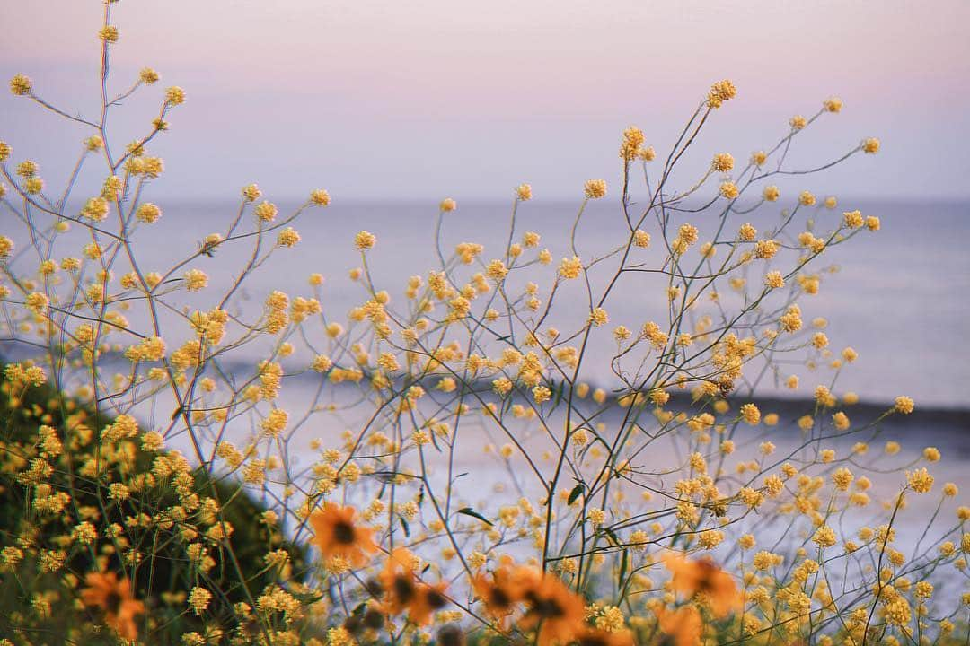 ミランダ・カーさんのインスタグラム写真 - (ミランダ・カーInstagram)「Good Morning sunshine ☀️ 🌊🌈」3月24日 0時55分 - mirandakerr