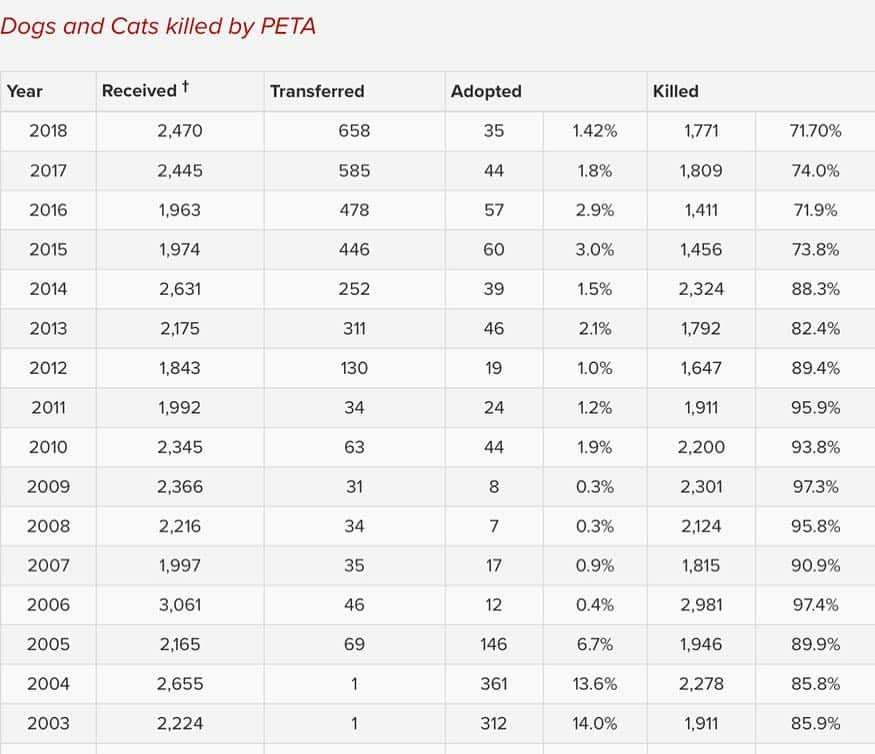 Black Jaguar-White Tiger さんのインスタグラム写真 - (Black Jaguar-White Tiger Instagram)「PETA HAS KILLED 84.5 percent of Animals received by them since it was created. In 2018, they received 56 million dollars in donations. In that same 2018, THEY KILLED 71.4 percent of the Animals that they received. Isn’t it beautiful when the truth comes out?  #PETAKILLS @peta  www.PetaKillsAnimals.com」3月24日 0時58分 - blackjaguarwhitetiger