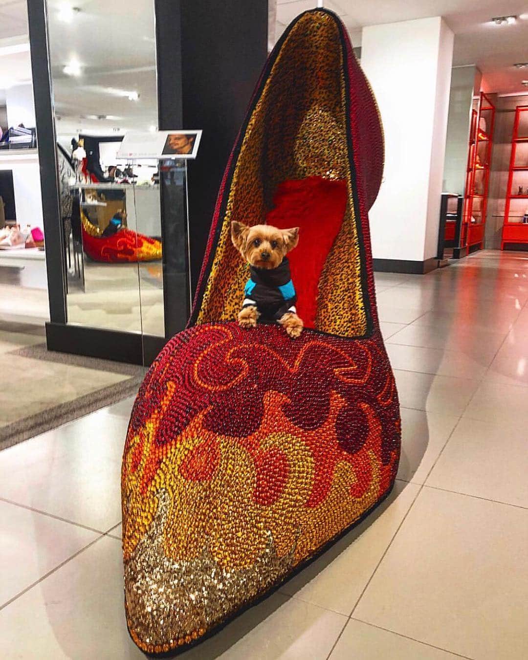Bloomingdale'sさんのインスタグラム写真 - (Bloomingdale'sInstagram)「Pawsitively adorable 😍 Happy #NationalPuppyDay! 🐕🐶🐩 . . . . . . . #DogsOfInstagram #Pupstagram #CutePetClub #DogLove #PuppyLife #Bloomies59 #Bloomingdales」3月24日 1時18分 - bloomingdales