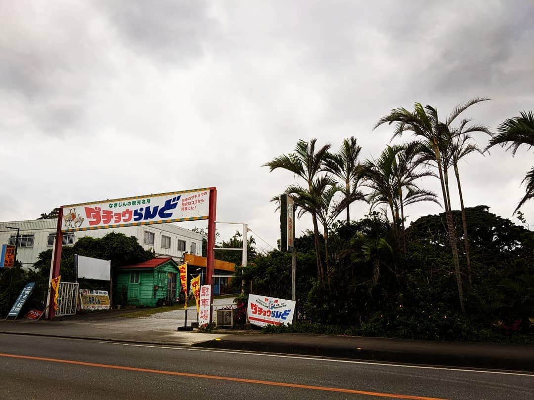 家入一真のグルメインスタ