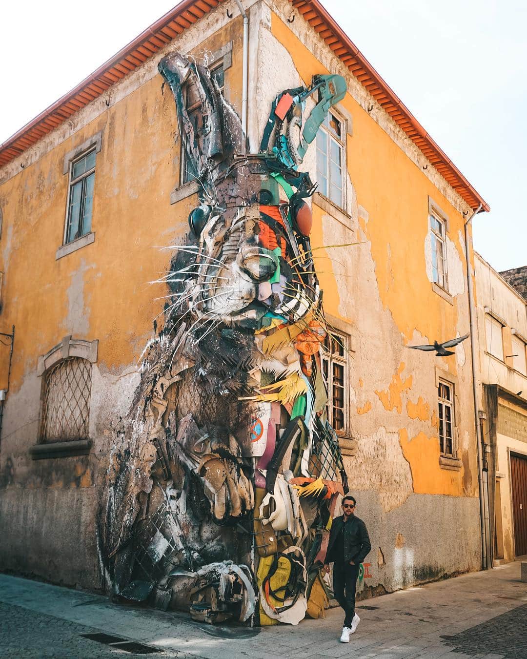 のインスタグラム：「don’t follow me, i’m not the white rabbit..」