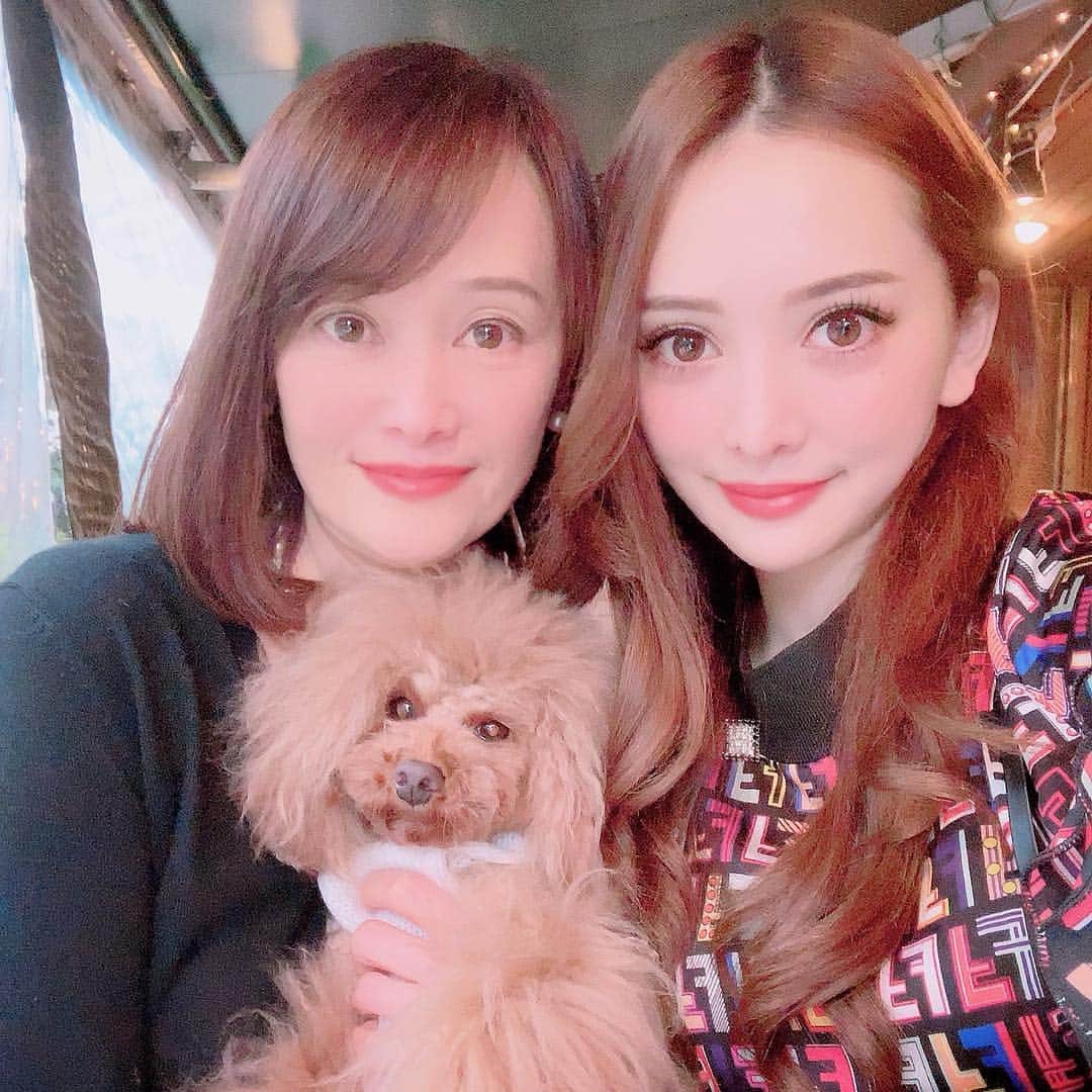 のインスタグラム：「ママと弟とこた🐶とlunch💗 たまに親子なこと忘れるくらい友達みたいに仲良し🤝（笑） . けどやっぱ母は偉大ですな、私この歳なのにまだ親になれる自信湧かないもん🙄いつも支えてくれてありがとう👄（父にもちゃんと感謝してるよ🤫） . そして弟にお風呂掃除してもらって← お風呂ピッカピッカ🛁✨ww 私と真逆で仏のような弟よ、愛してる❤️ . . #家族lunch #lunch #ランチ #トイプードル #こたろうくん #新宿御苑 #親子 #❤️」