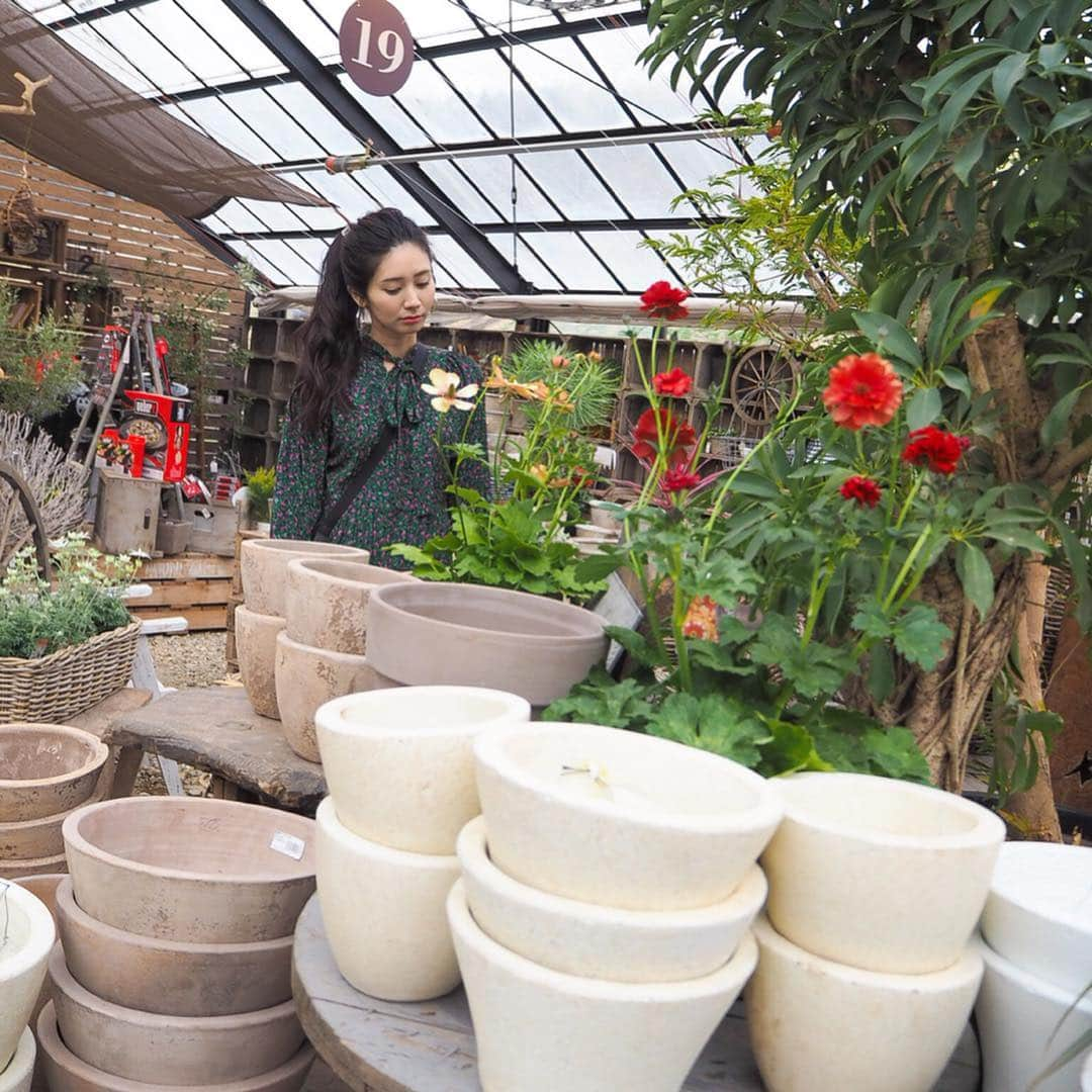 篠原真衣さんのインスタグラム写真 - (篠原真衣Instagram)「. . 私の大好きな香りのハーブ、ローズゼラニウムの苗をゲット🥺❤️ . バラのような香りで、ストレスの緩和や女性ホルモンにも働きかけます😊 . 私の手作りの化粧水にも必ず入れる精油の香りです🌹 . #thefarmuniversal #ローズゼラニウム#ハーブ#ハーブのある暮らし#ゼラニウム」3月23日 17時50分 - shinomai425